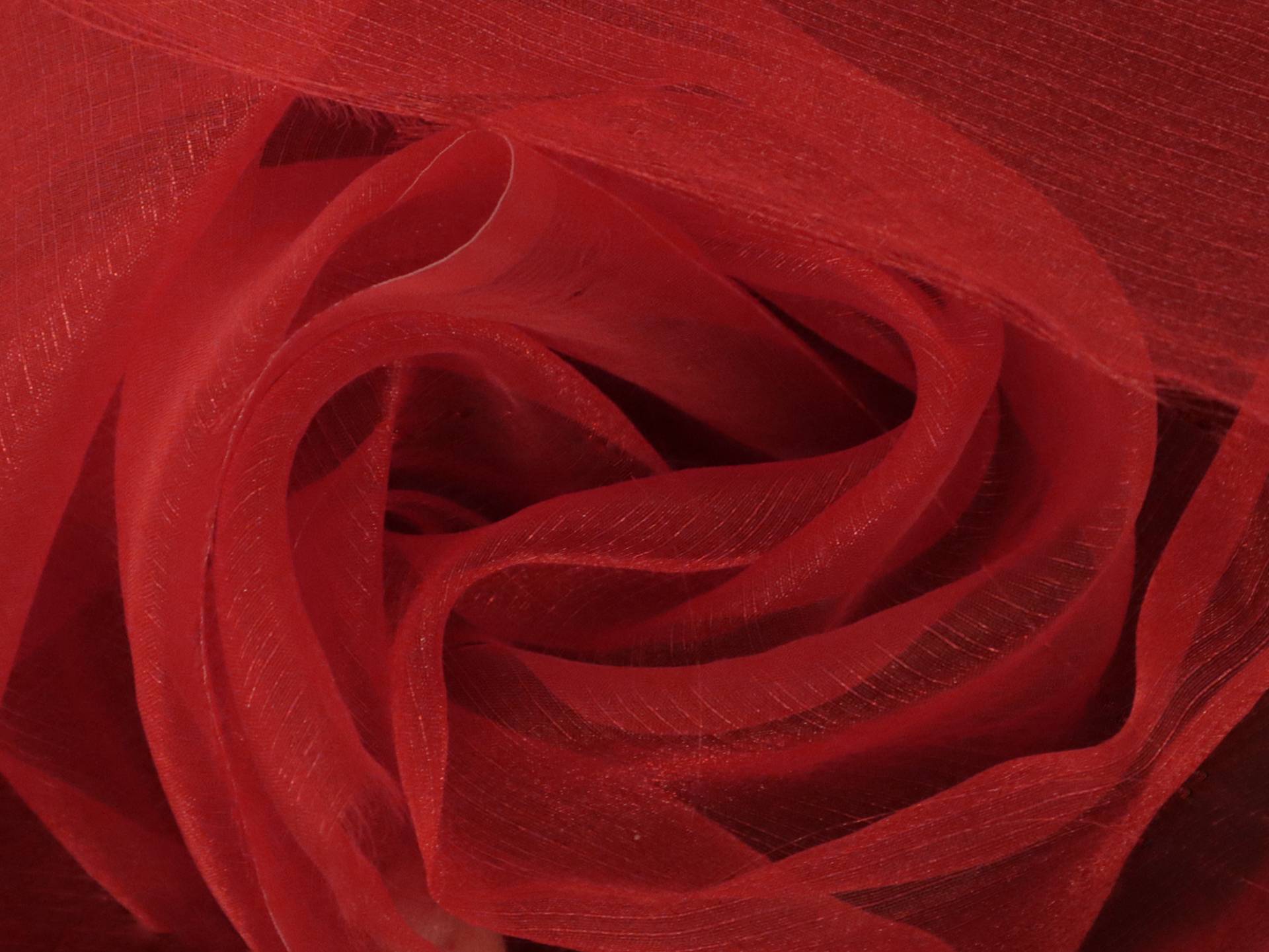 Sparkle Sheer Organza in Cherry Red