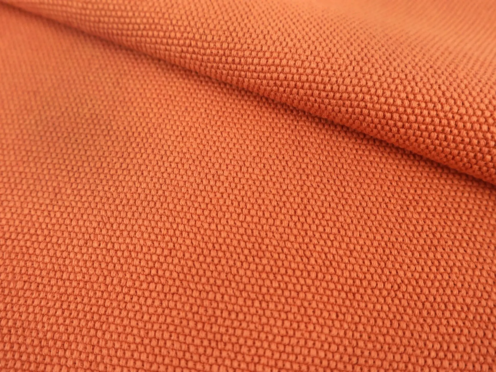 Italian Cotton Novelty Knit in Ochre