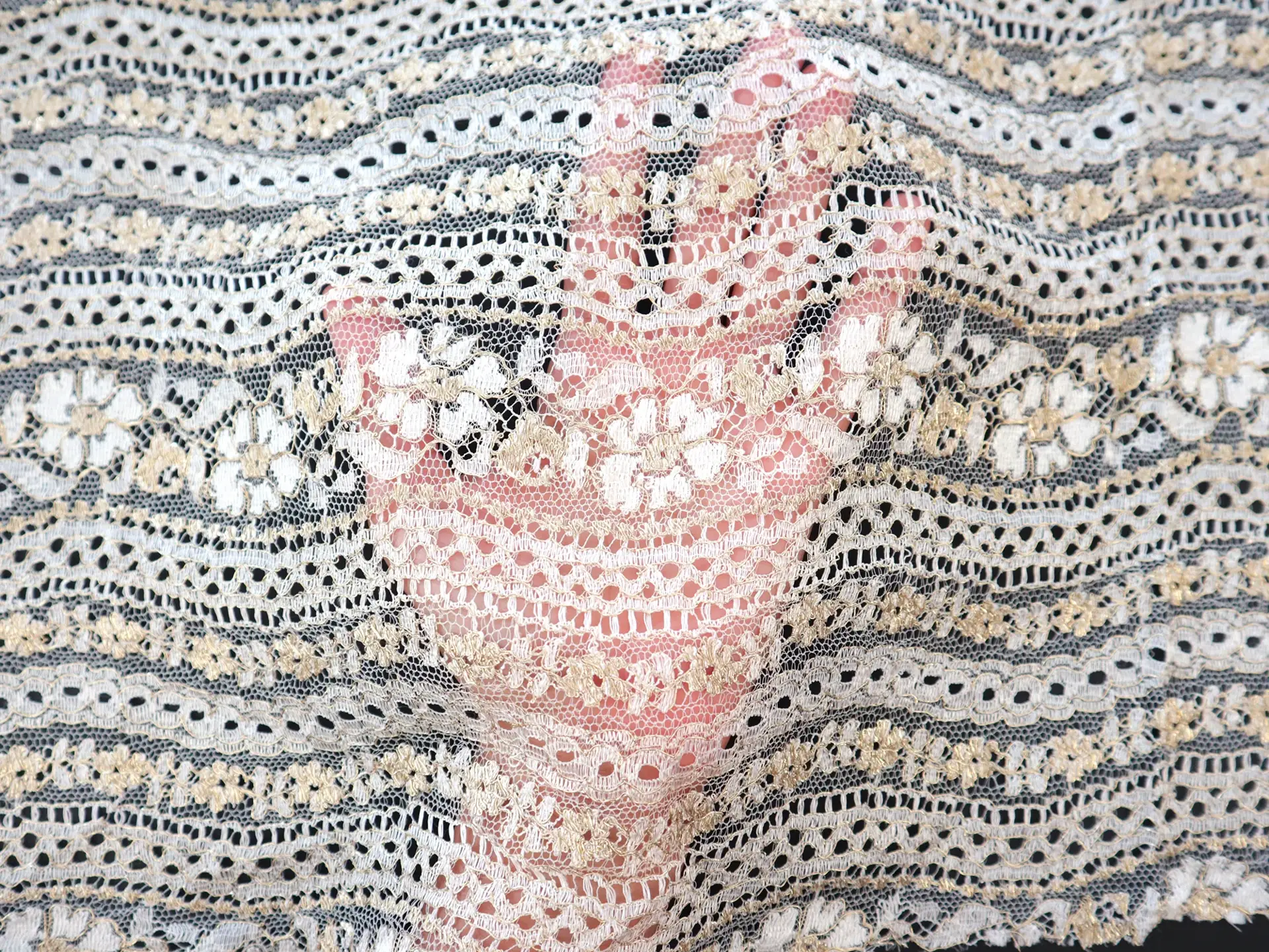 Metallic Lace with Floral Stripe Pattern in Silver & Gold