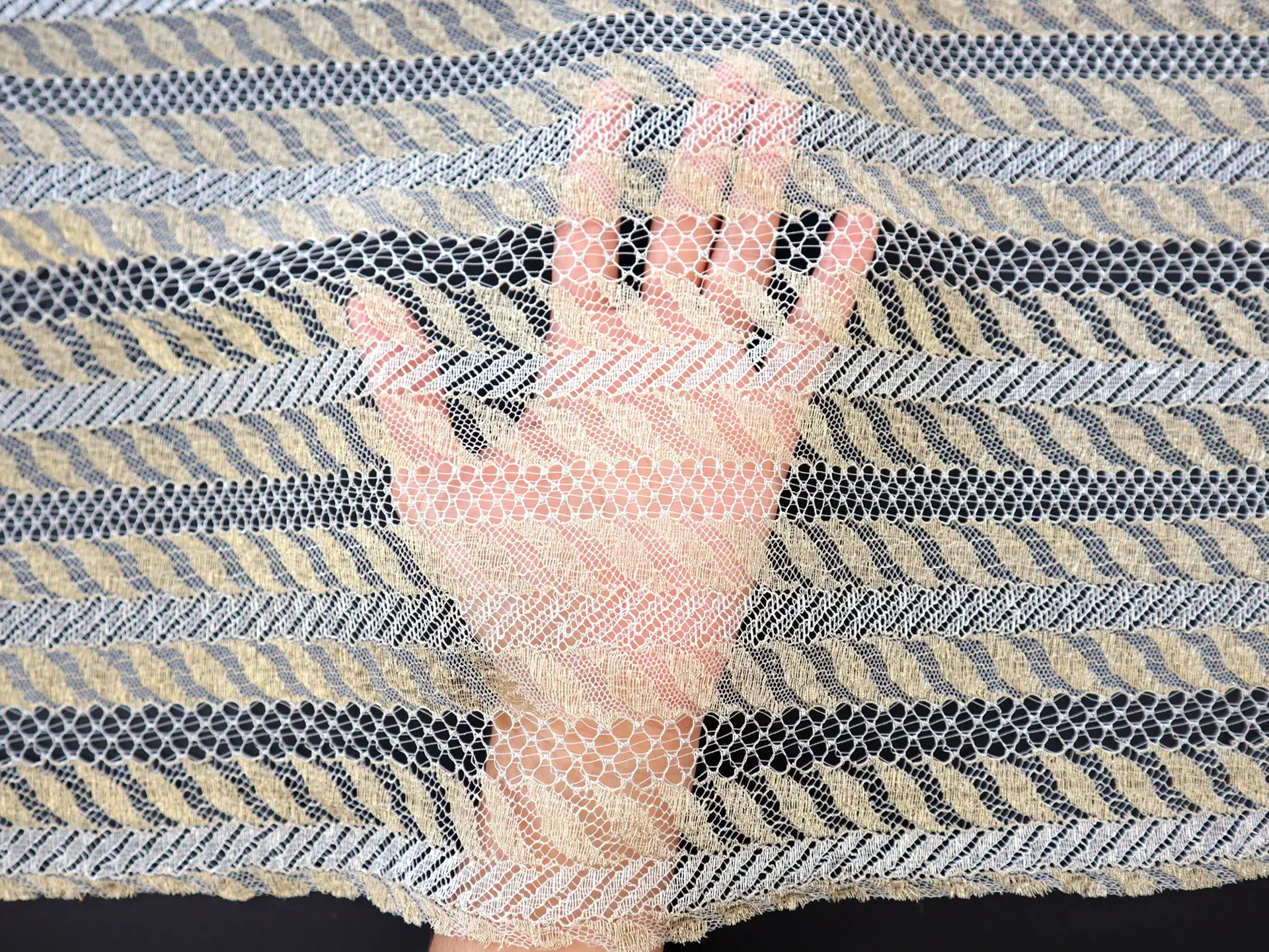 Metallic Striped Lace in Gold and Silver