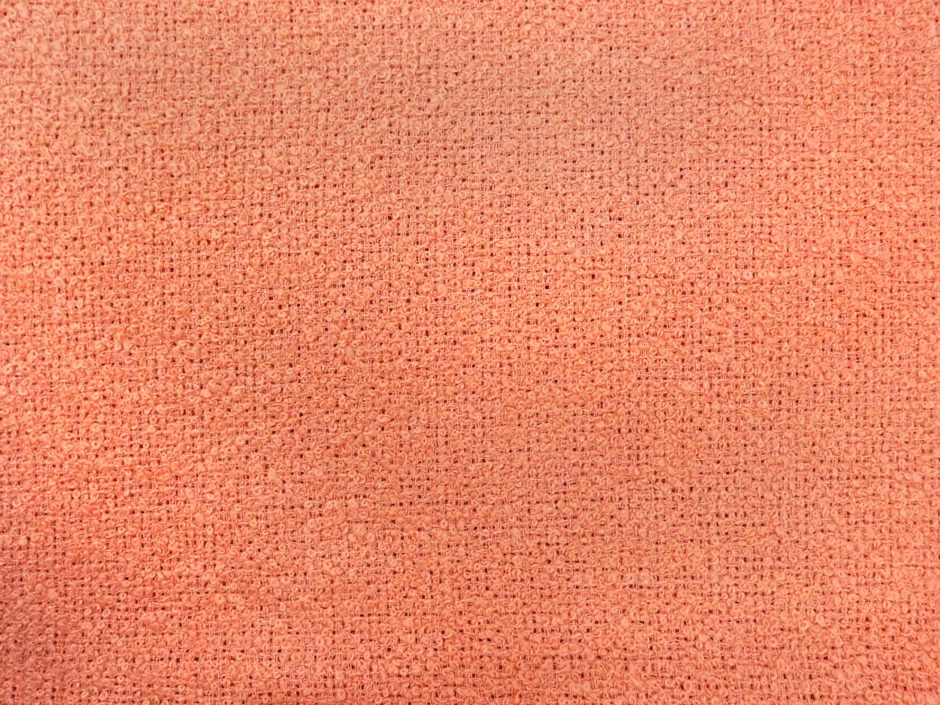 Wool Bouclé in Cantaloupe