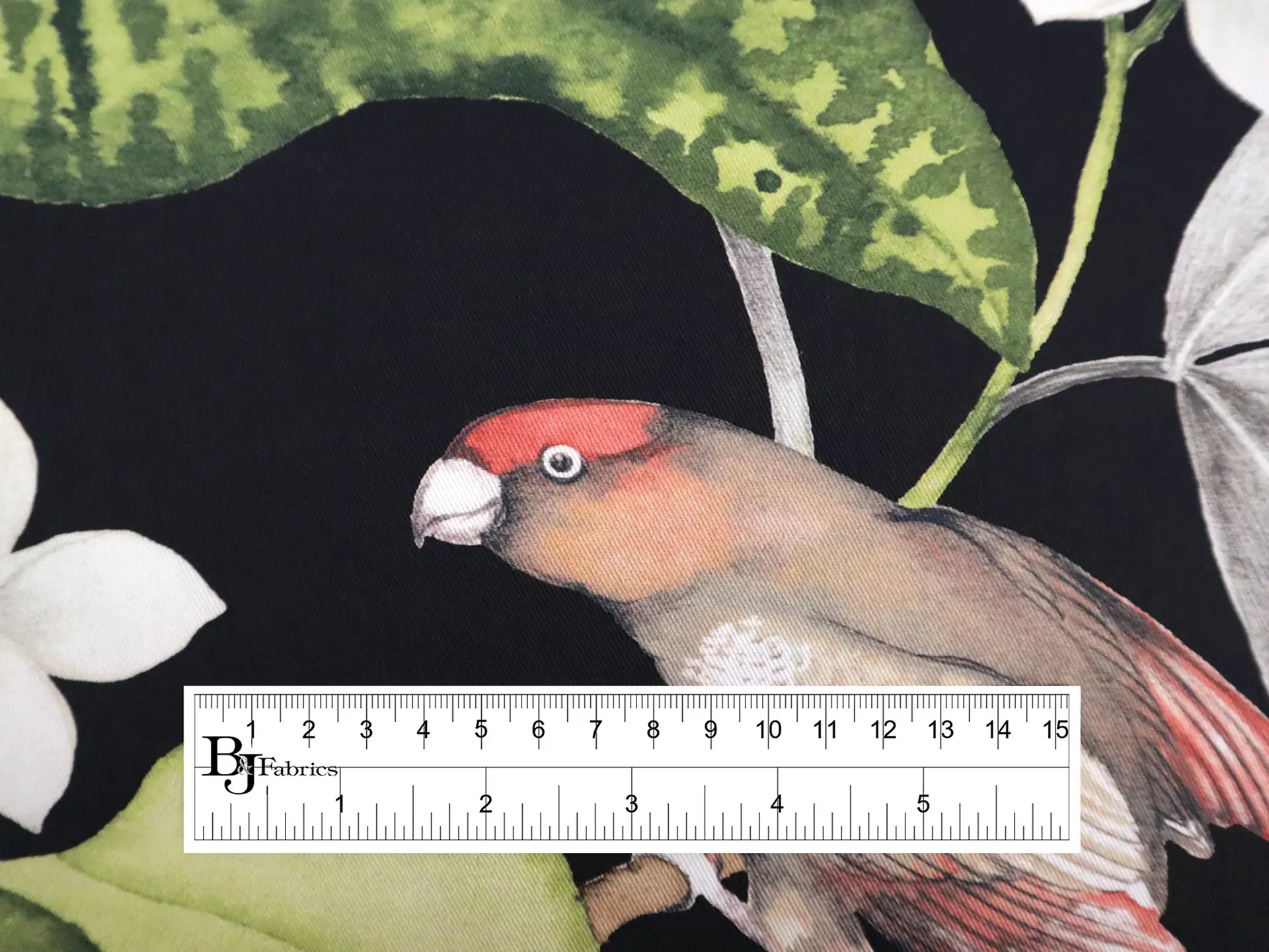 Cotton Twill with Conure Parrots Print in Onyx