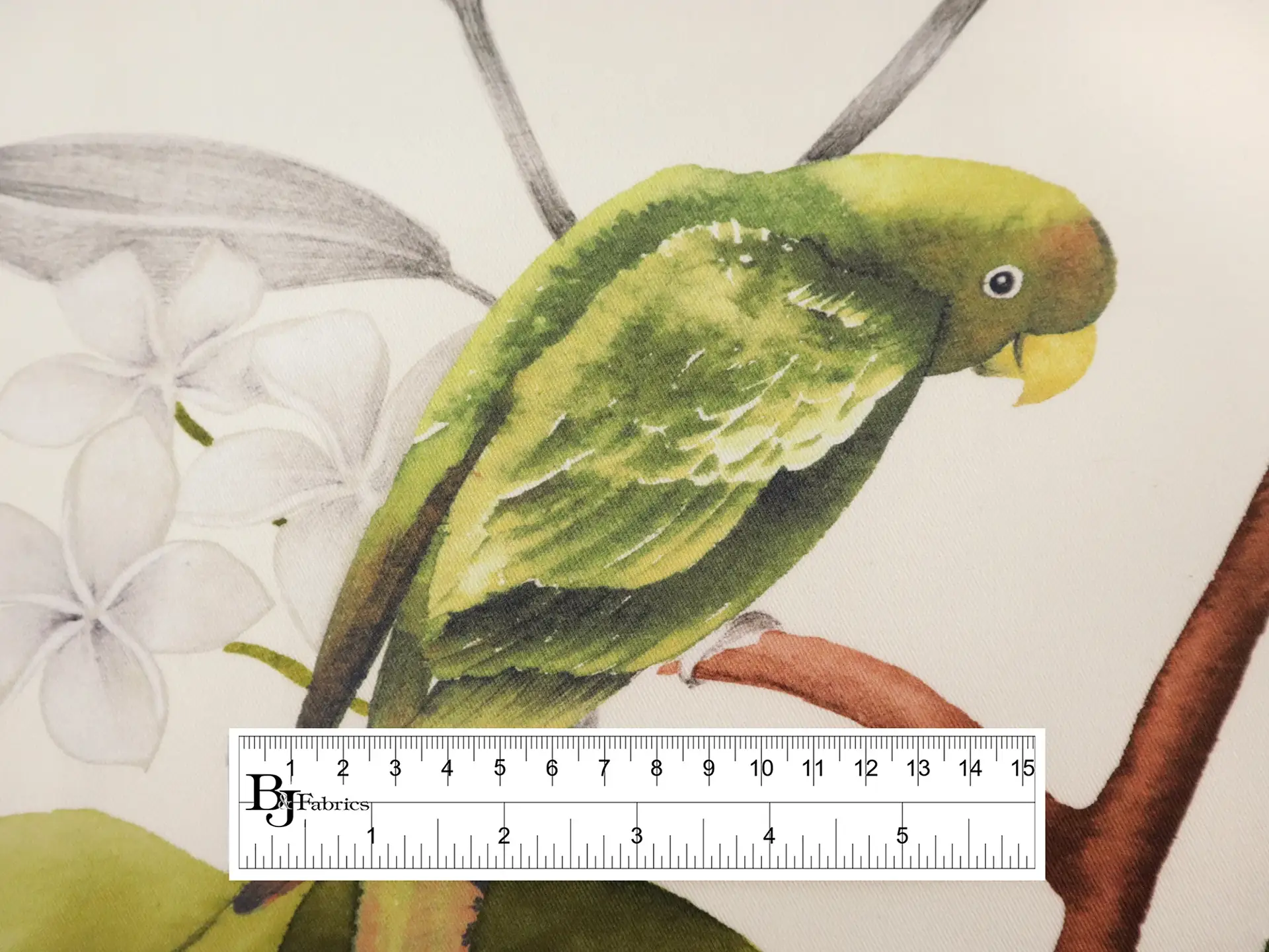 Cotton Twill with Conure Parrots Print