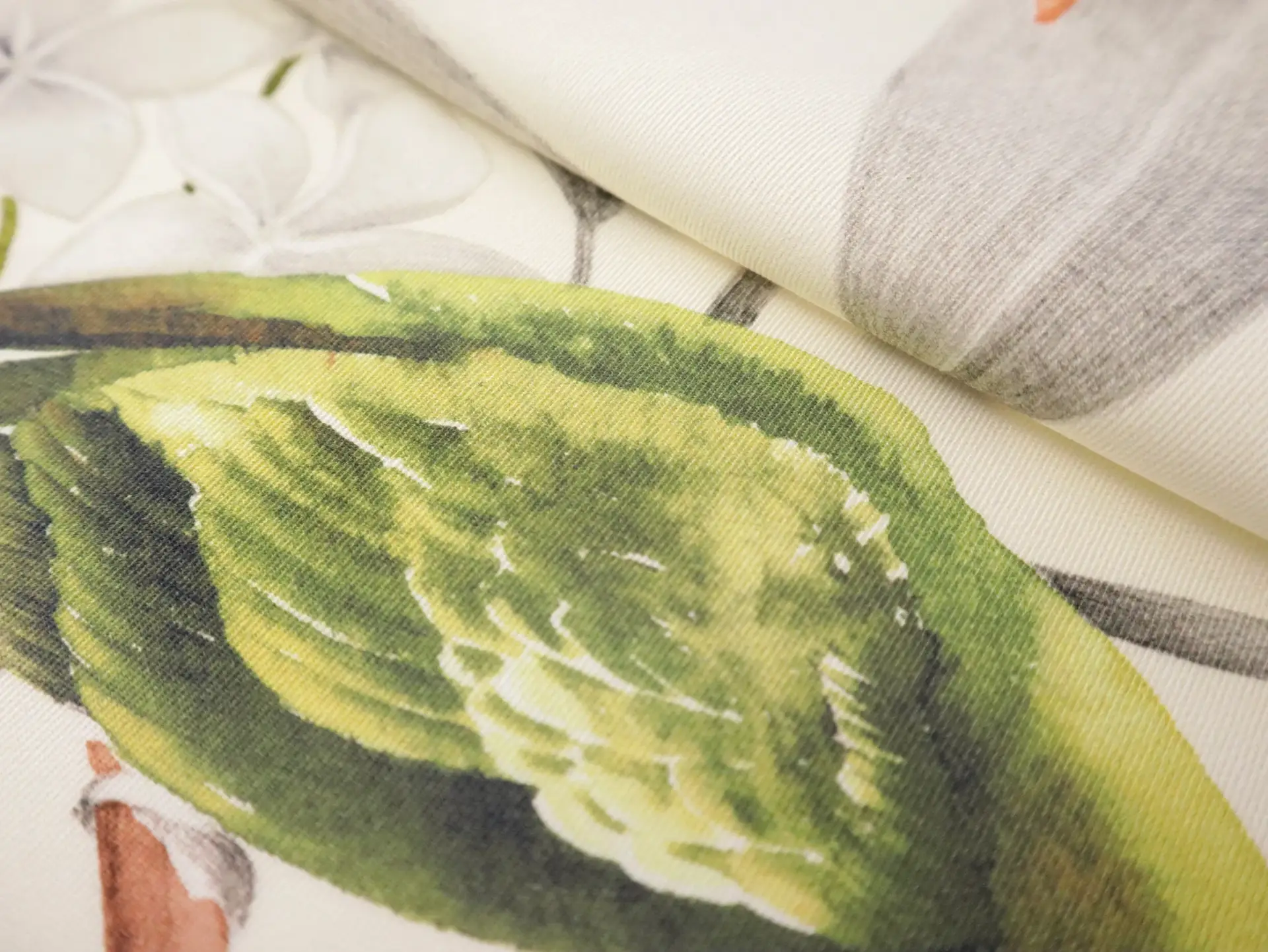 Cotton Twill with Conure Parrots Print