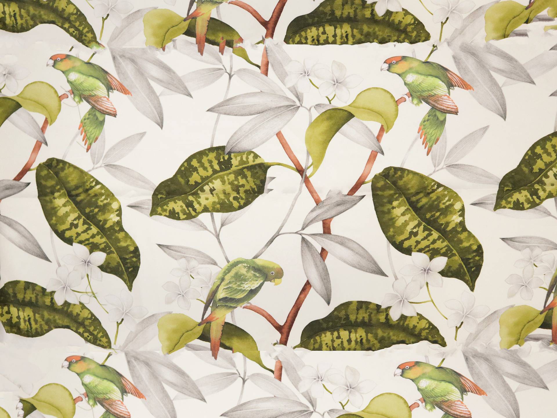 Cotton Twill with Conure Parrots Print