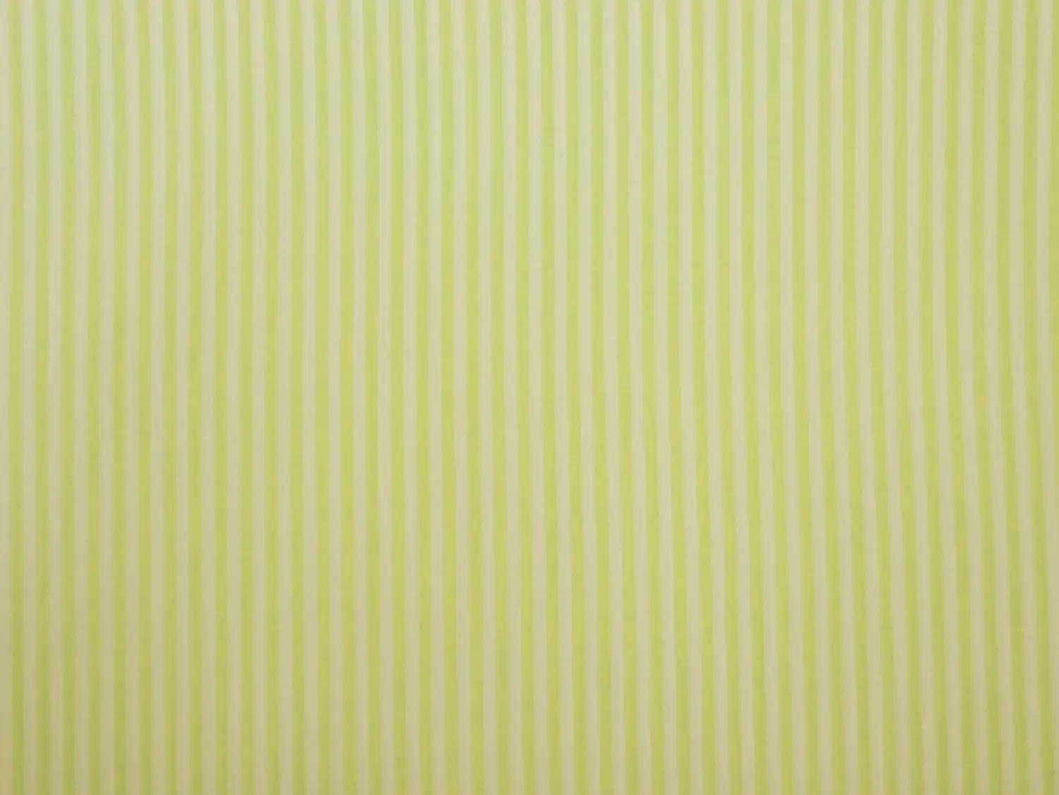 Silk Shirting with Grellow and Cream Stripes