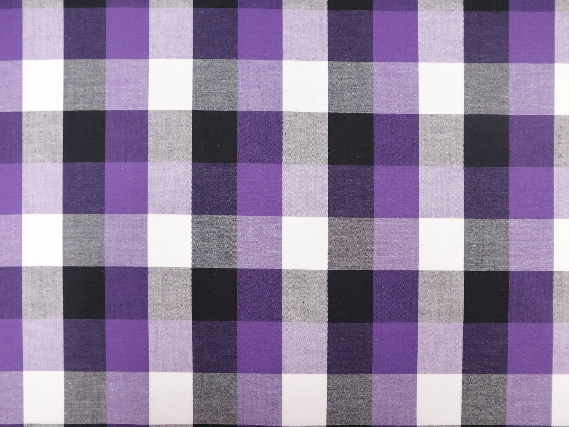 1.5" Cotton Gingham in Purple & Black