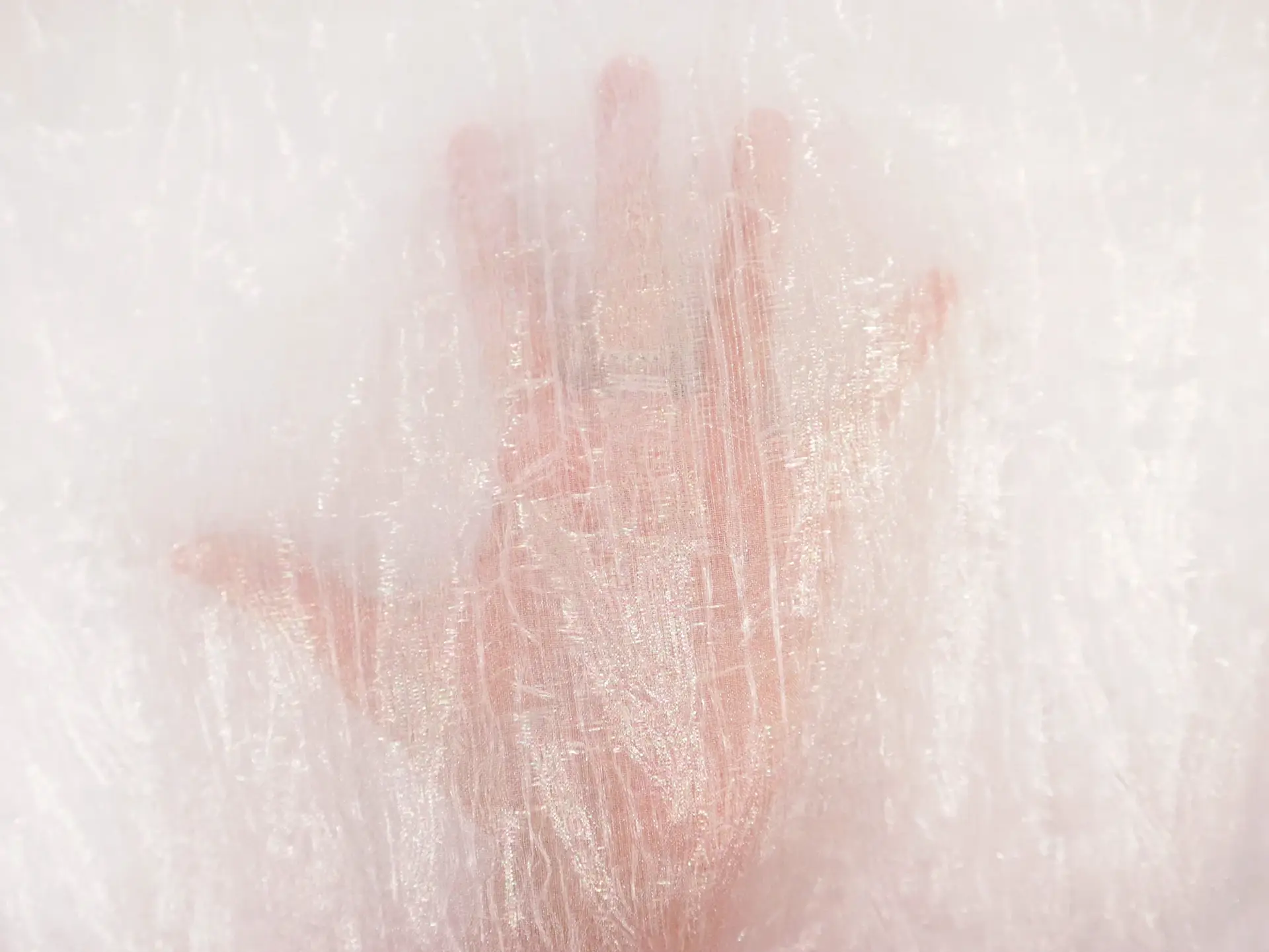 Novelty Metallic Sheer Organza in Pearl