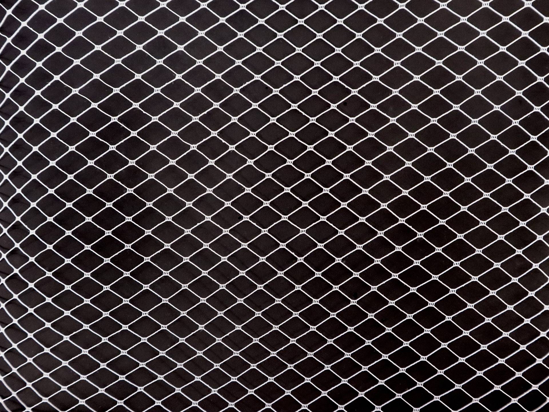Bird Cage Netting in White