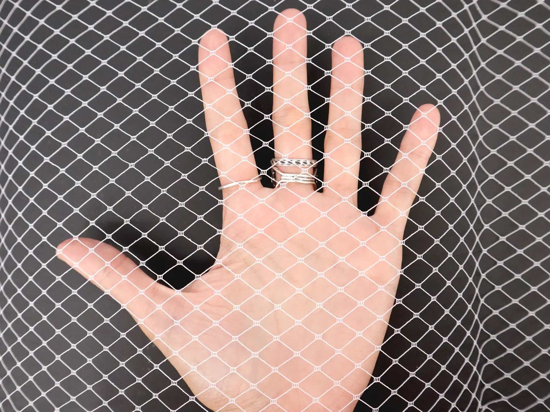 Bird Cage Netting in White