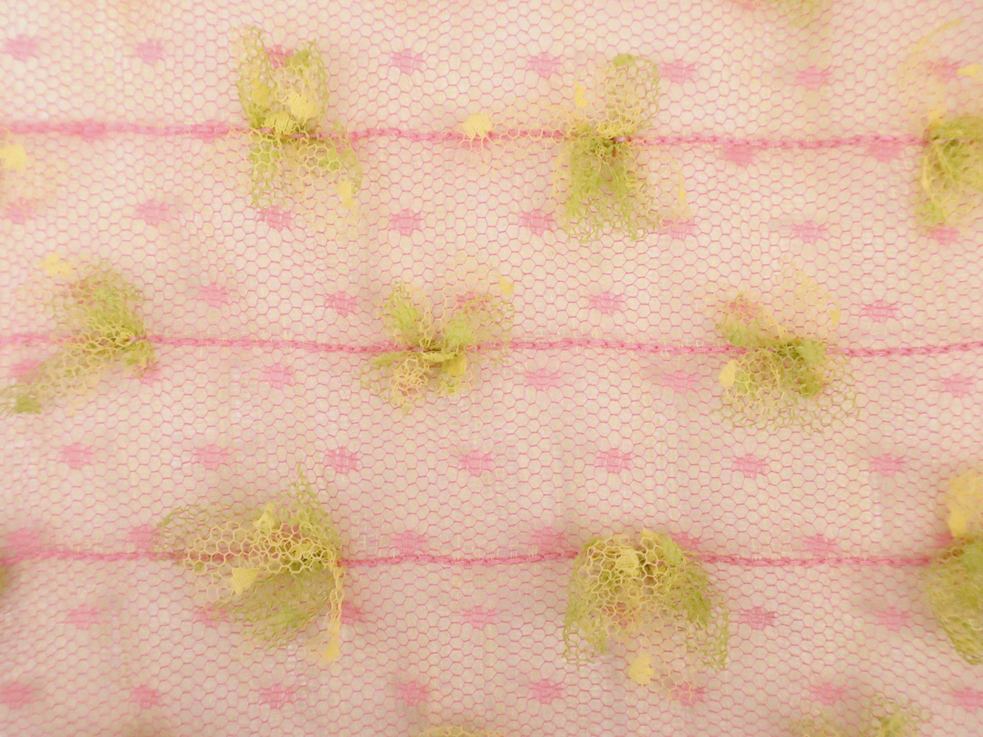 Vintage Novelty Embroidered Point D'Esprit