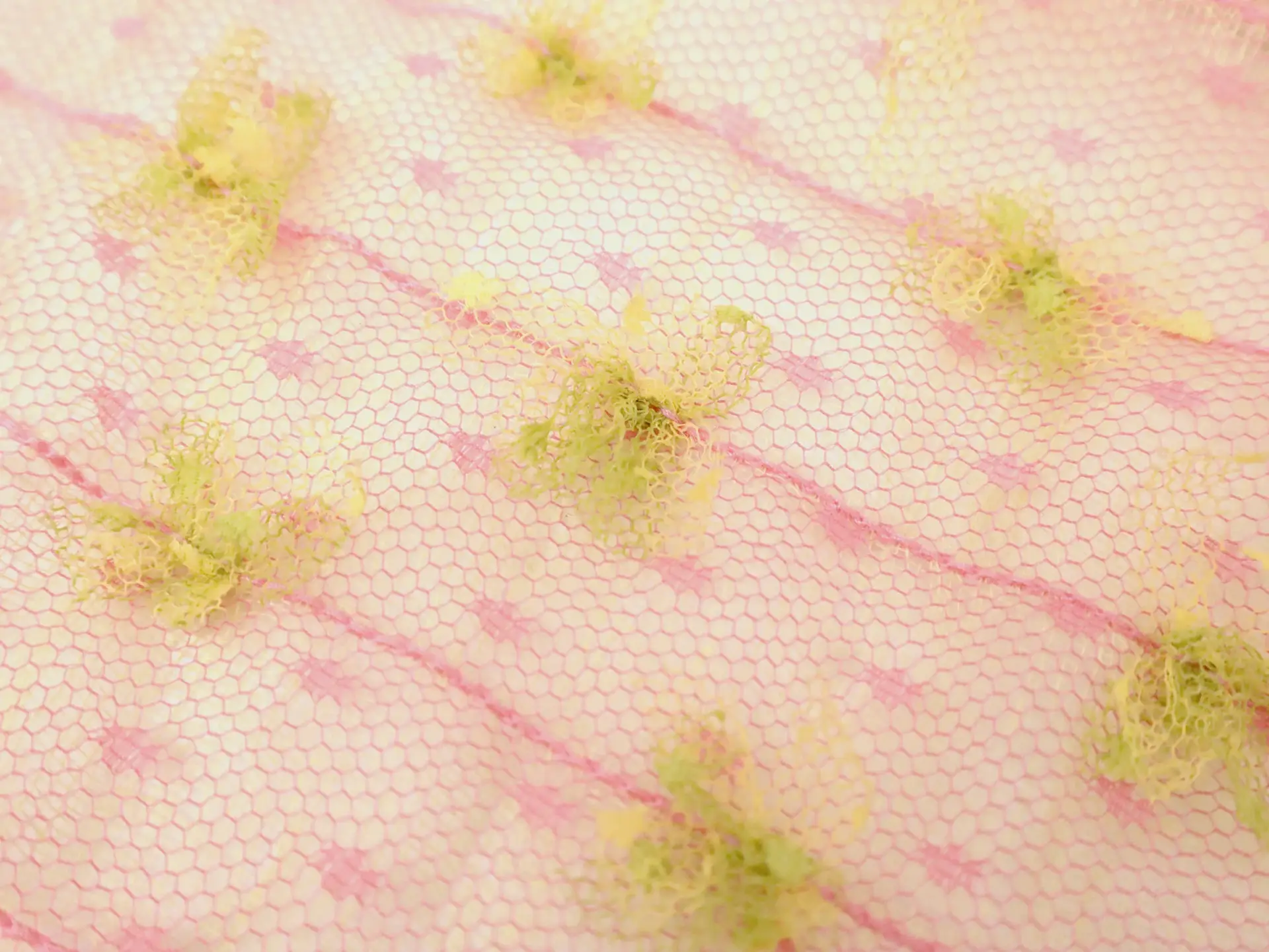 Vintage Novelty Embroidered Point D'Esprit
