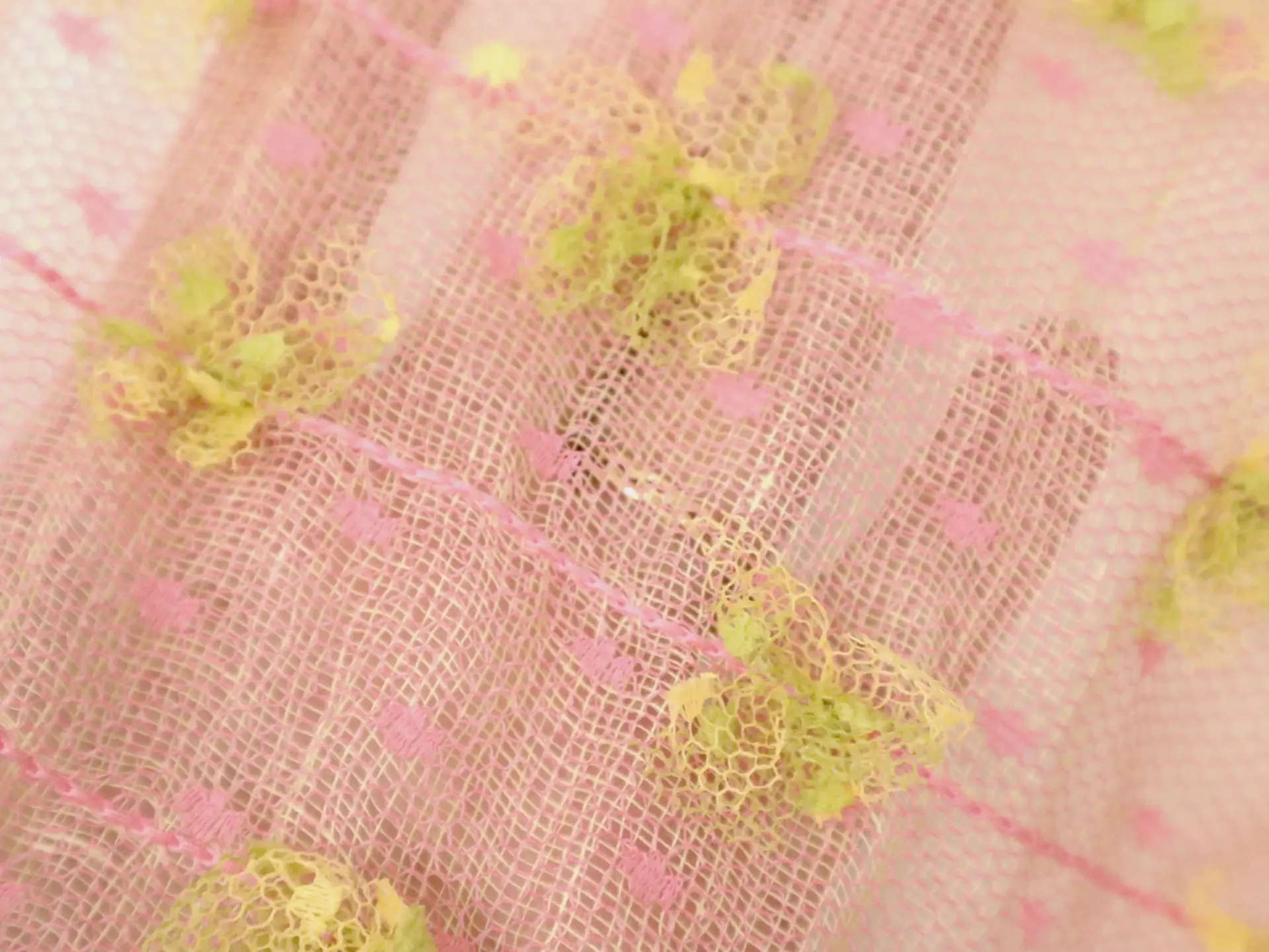 Vintage Novelty Embroidered Point D'Esprit
