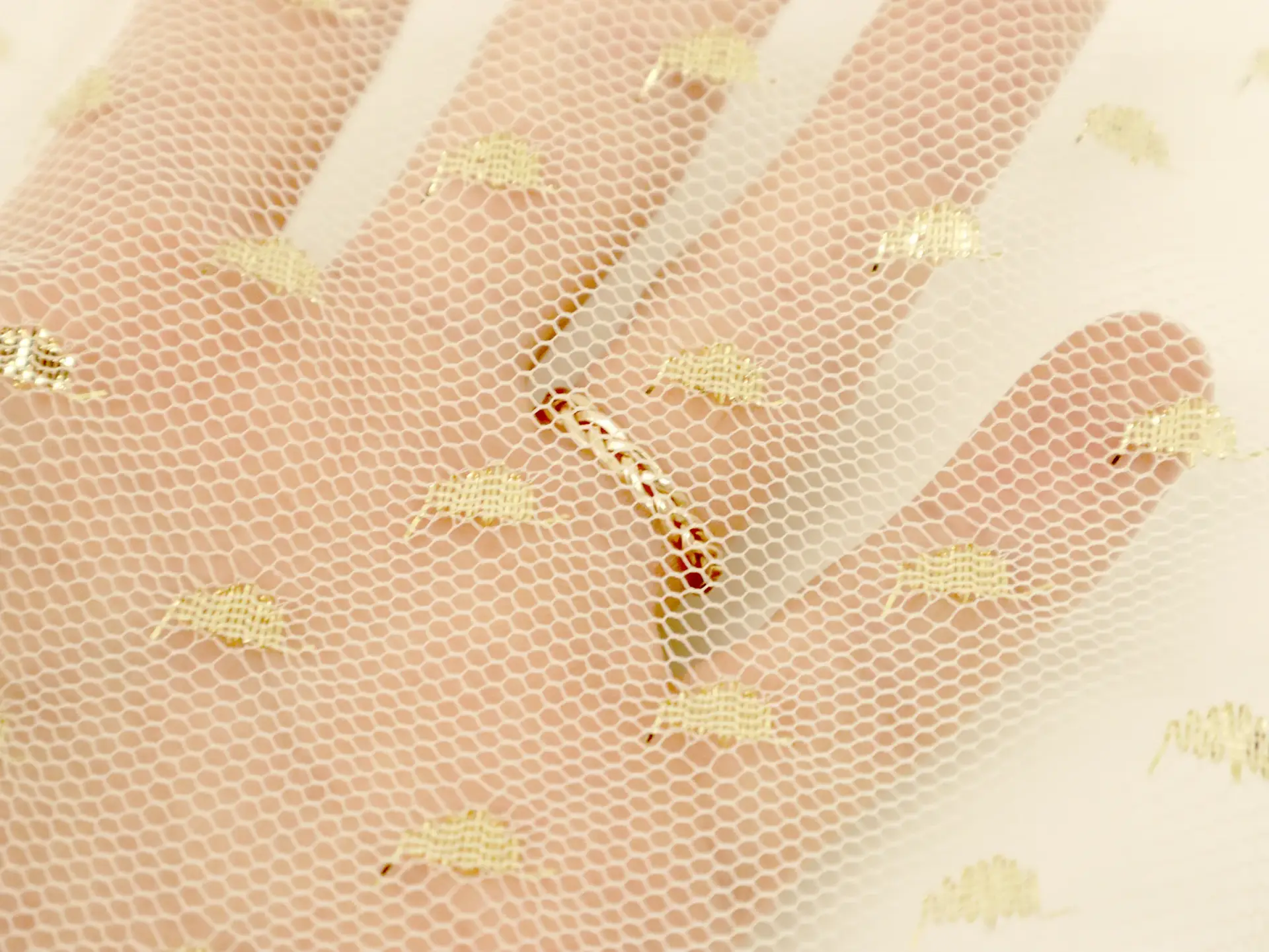 Metallic Point D'Esprit in Beige and Gold