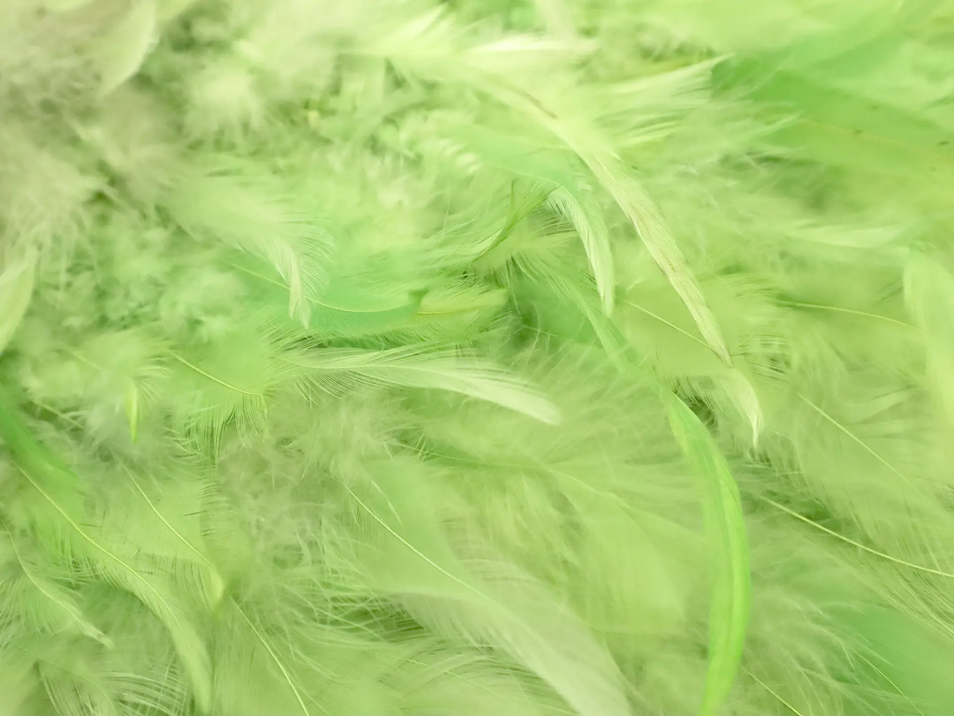 Feathers on Silk Chiffon in Green