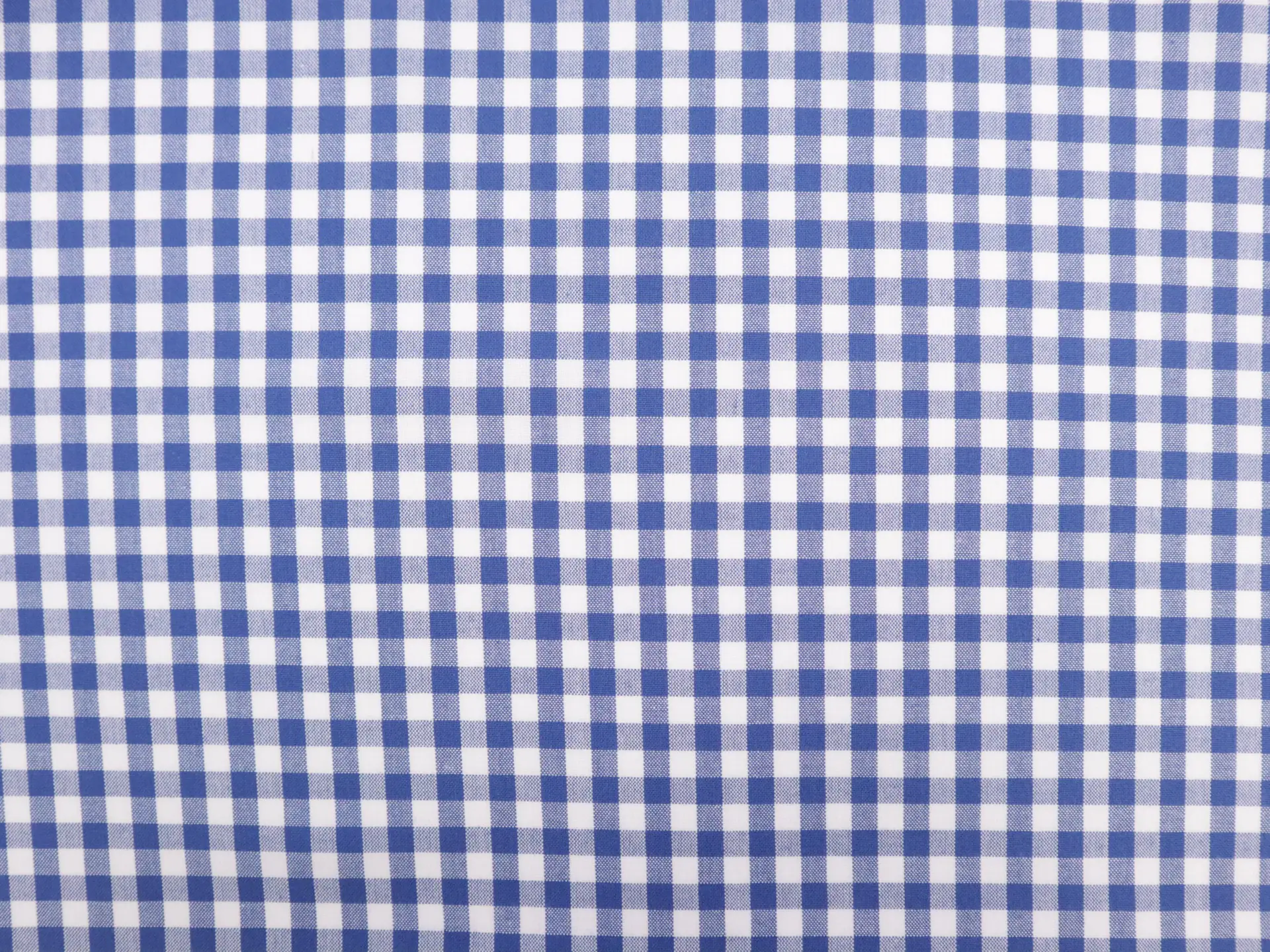 1/4" Cotton Gingham in Royal Blue