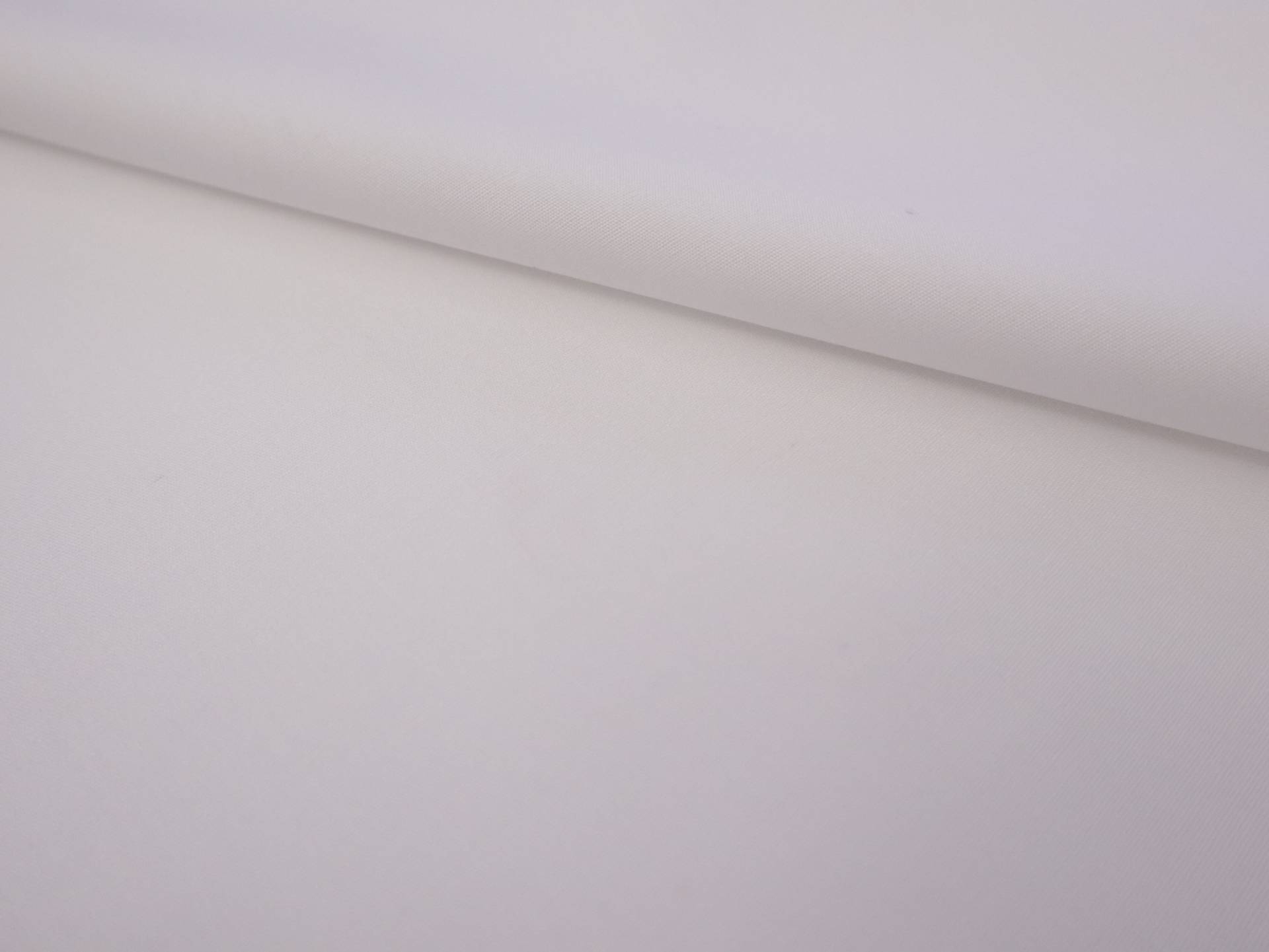 Pima Cotton Poplin in White 