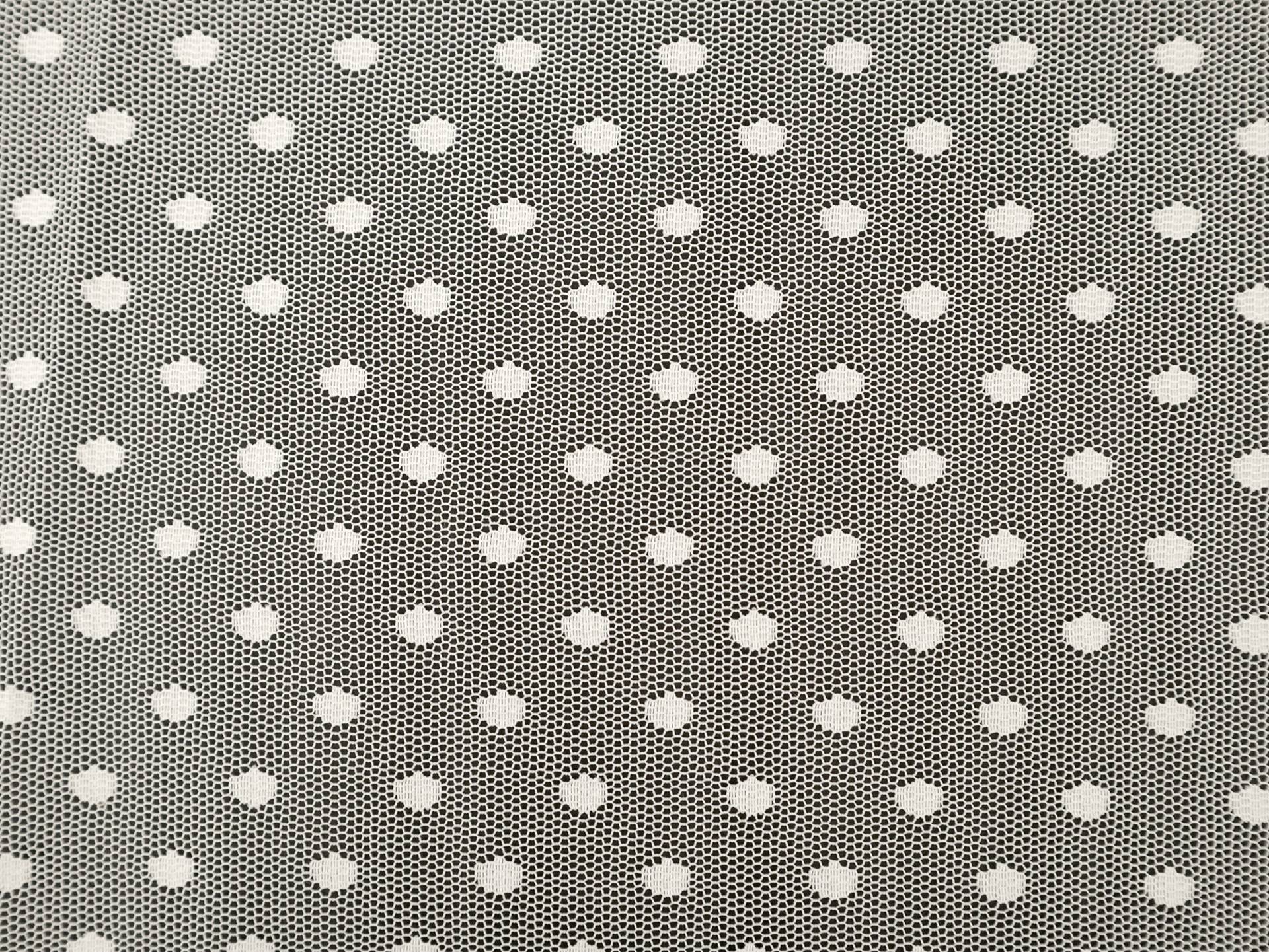 Asprin Dot Tulle in Optic White