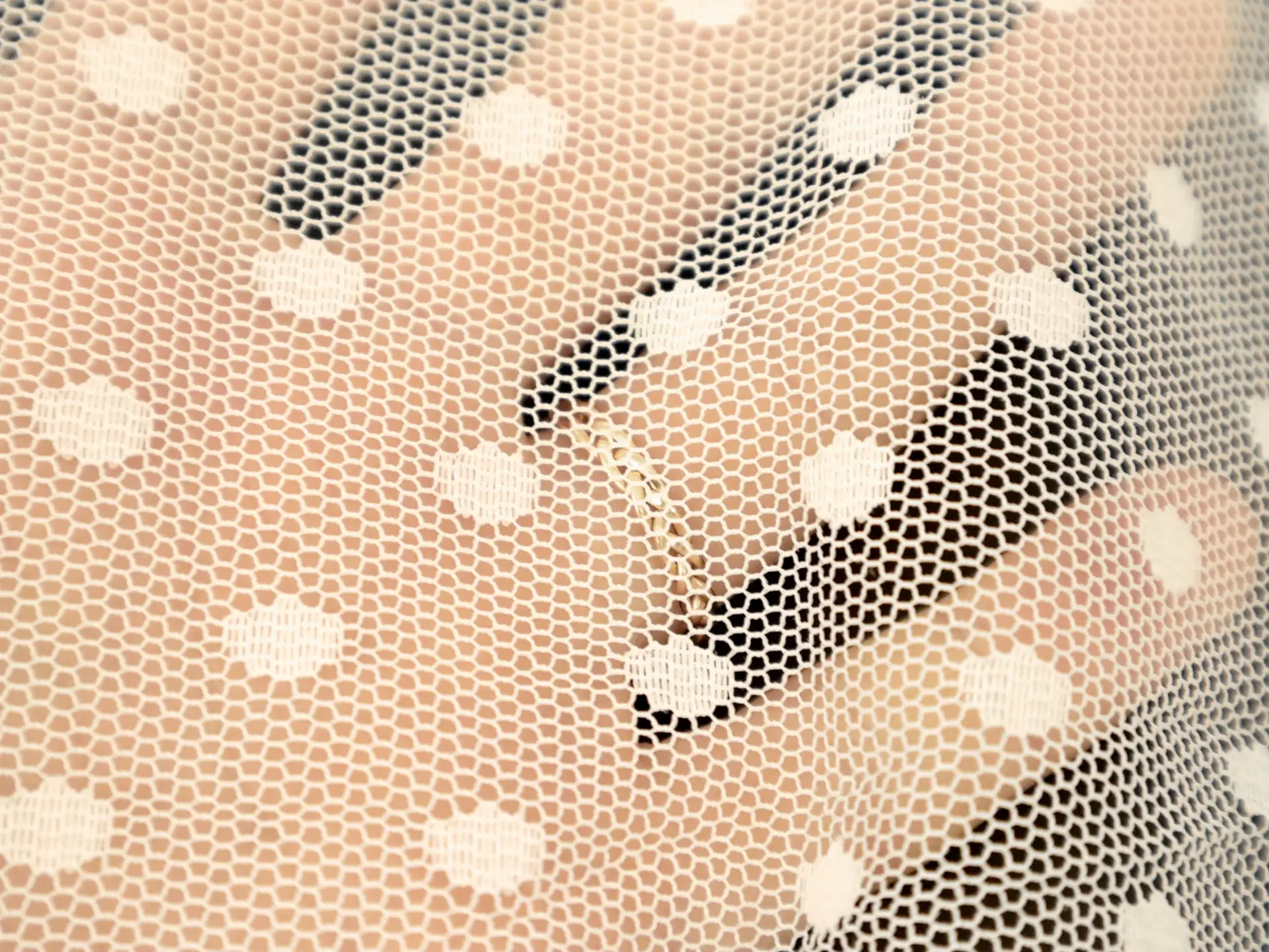 Asprin Dot Tulle in Optic White