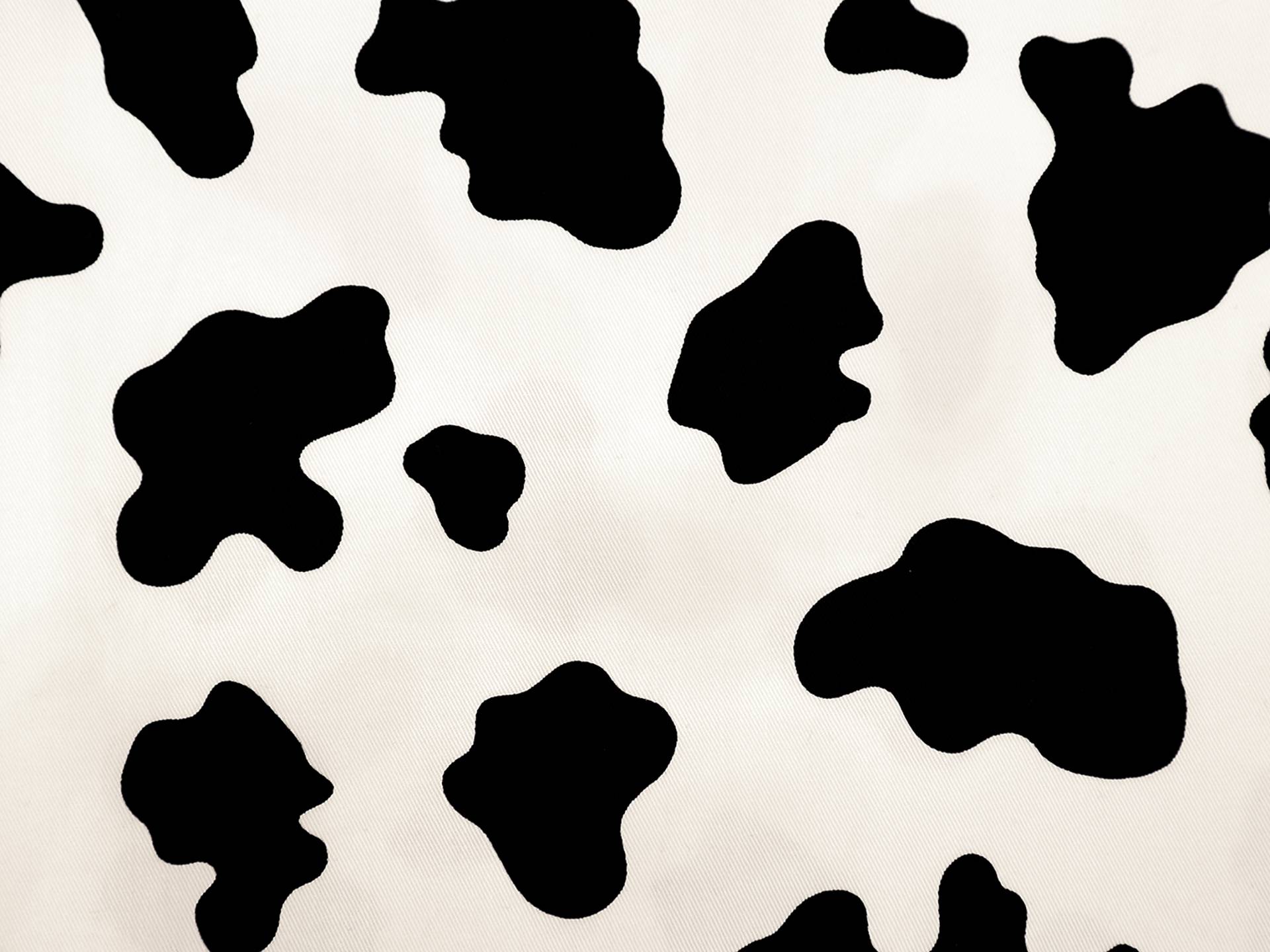 Cotton Twill Cow Print in White & Black