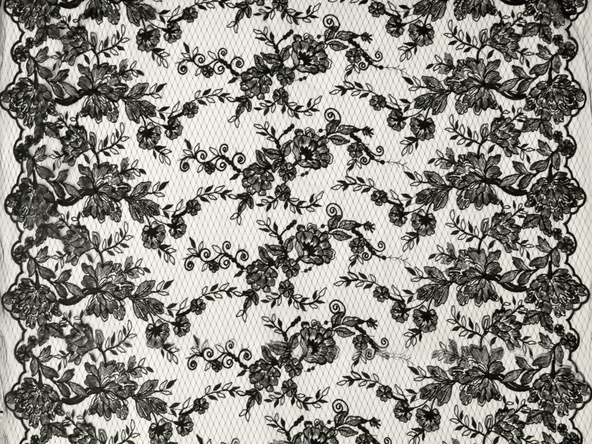 Embroidered Novelty Tulle with Floral Pattern in Black