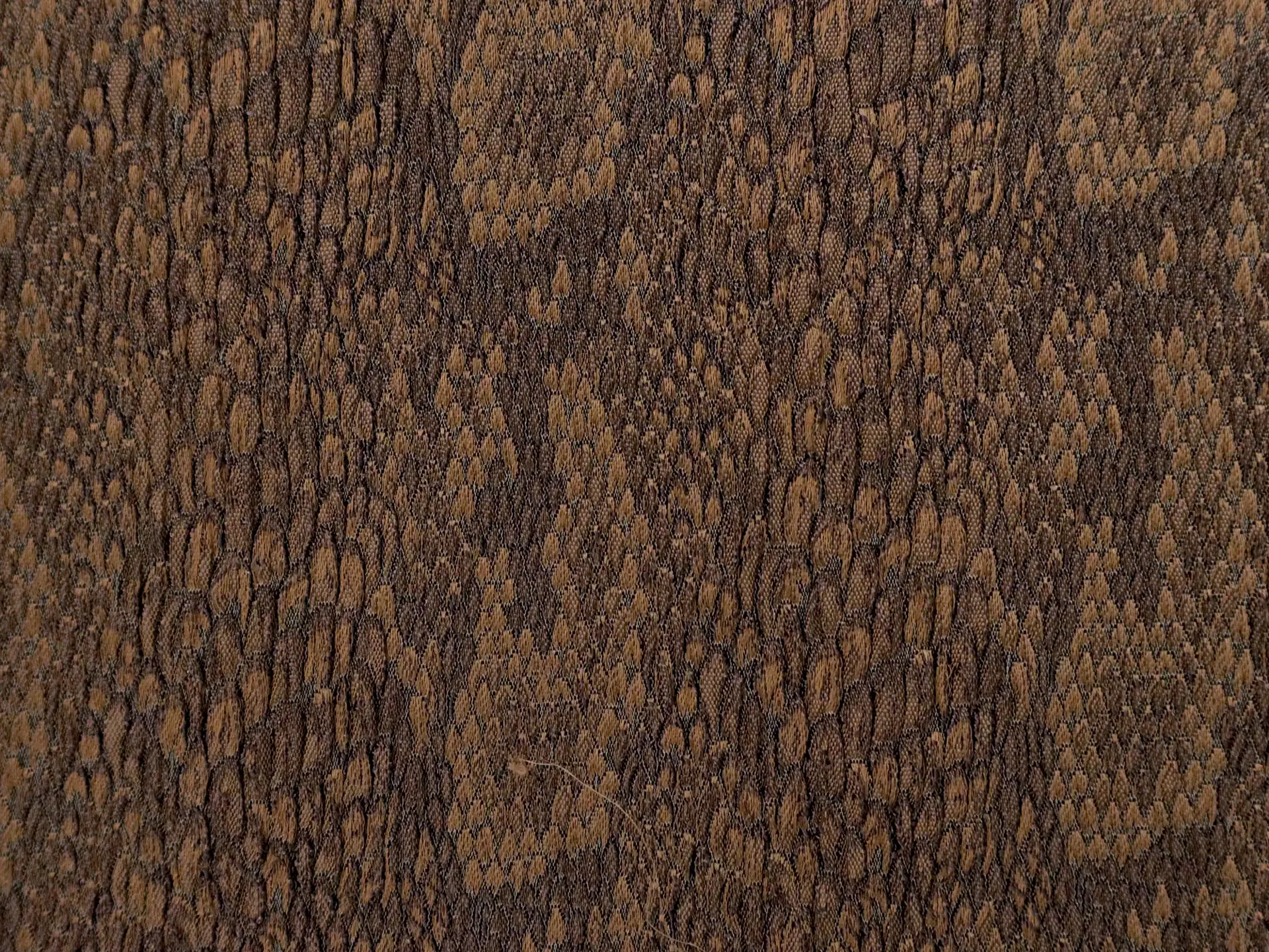 French Stretch Reptile Brocade