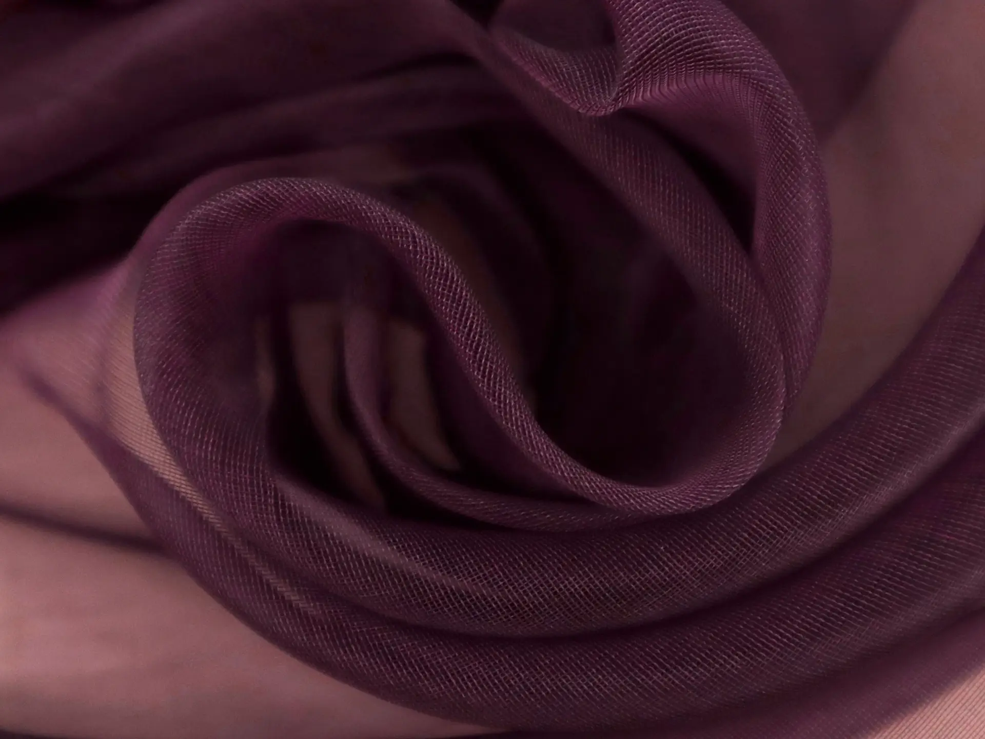 Metallic Silk Organza in Eggplant