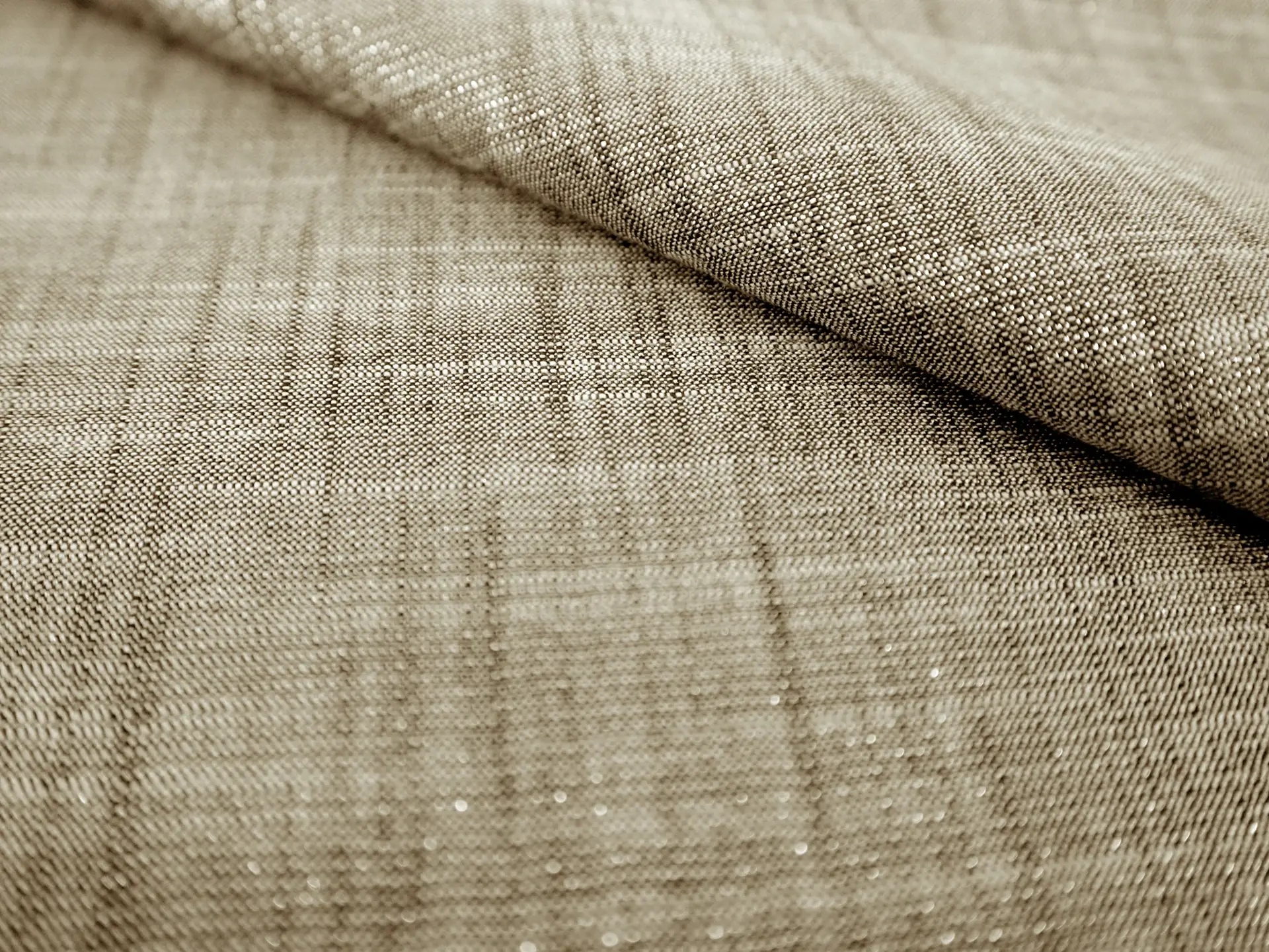 Metallic Textured Cotton in Ebony & Gold