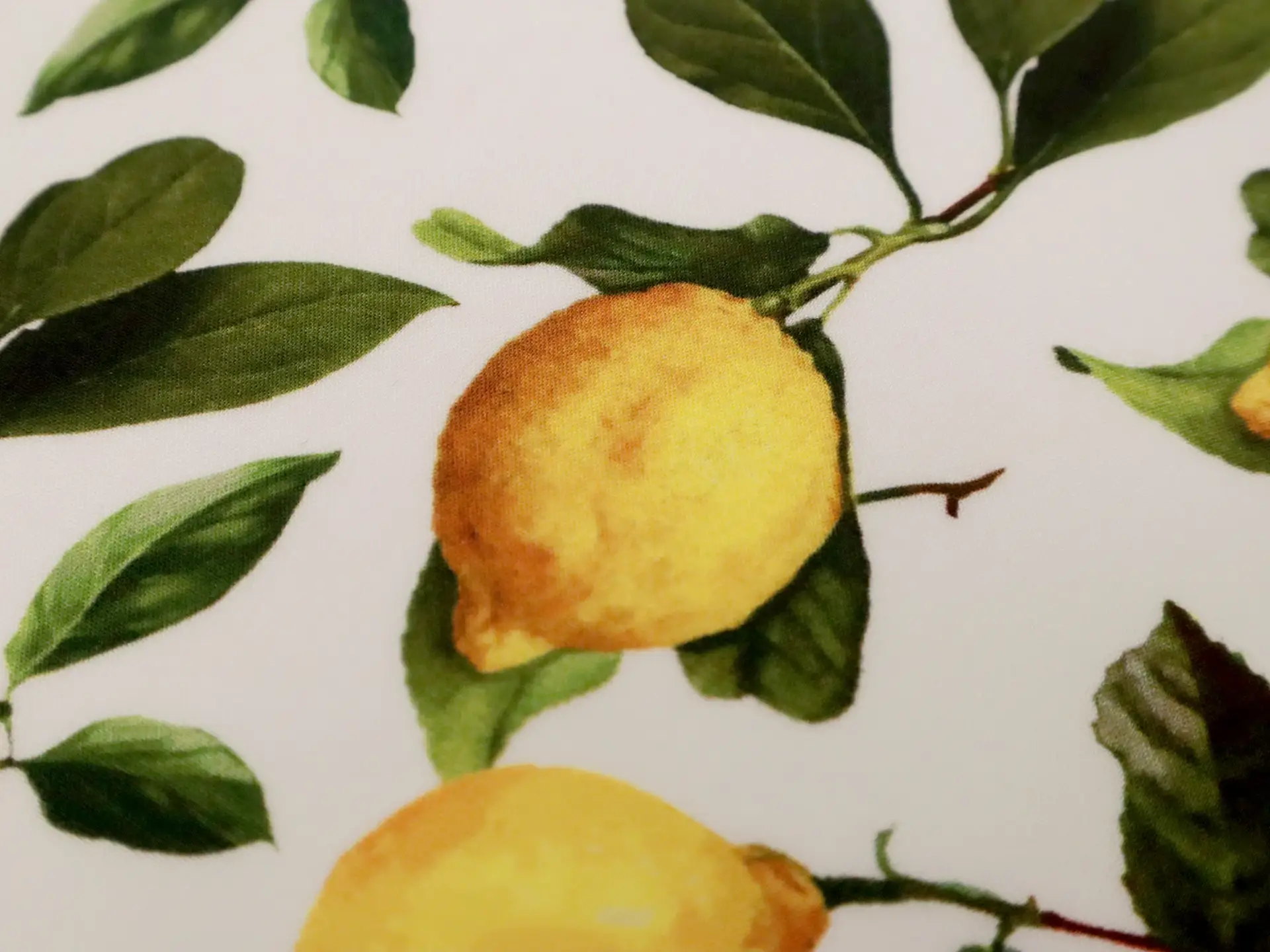 Digital Print Viscose with Lemons