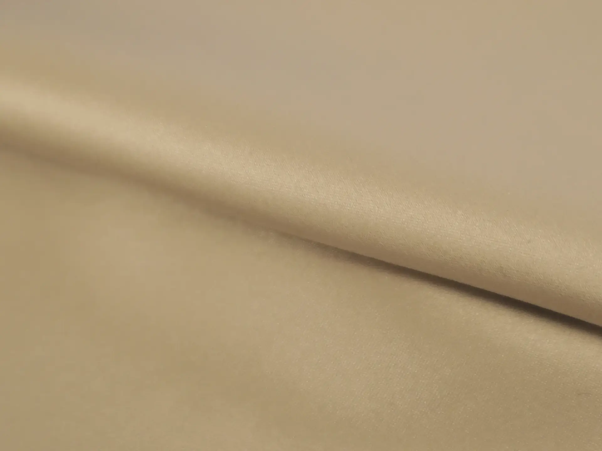 Lacquered Silk and Lycra Charmeuse in Champagne