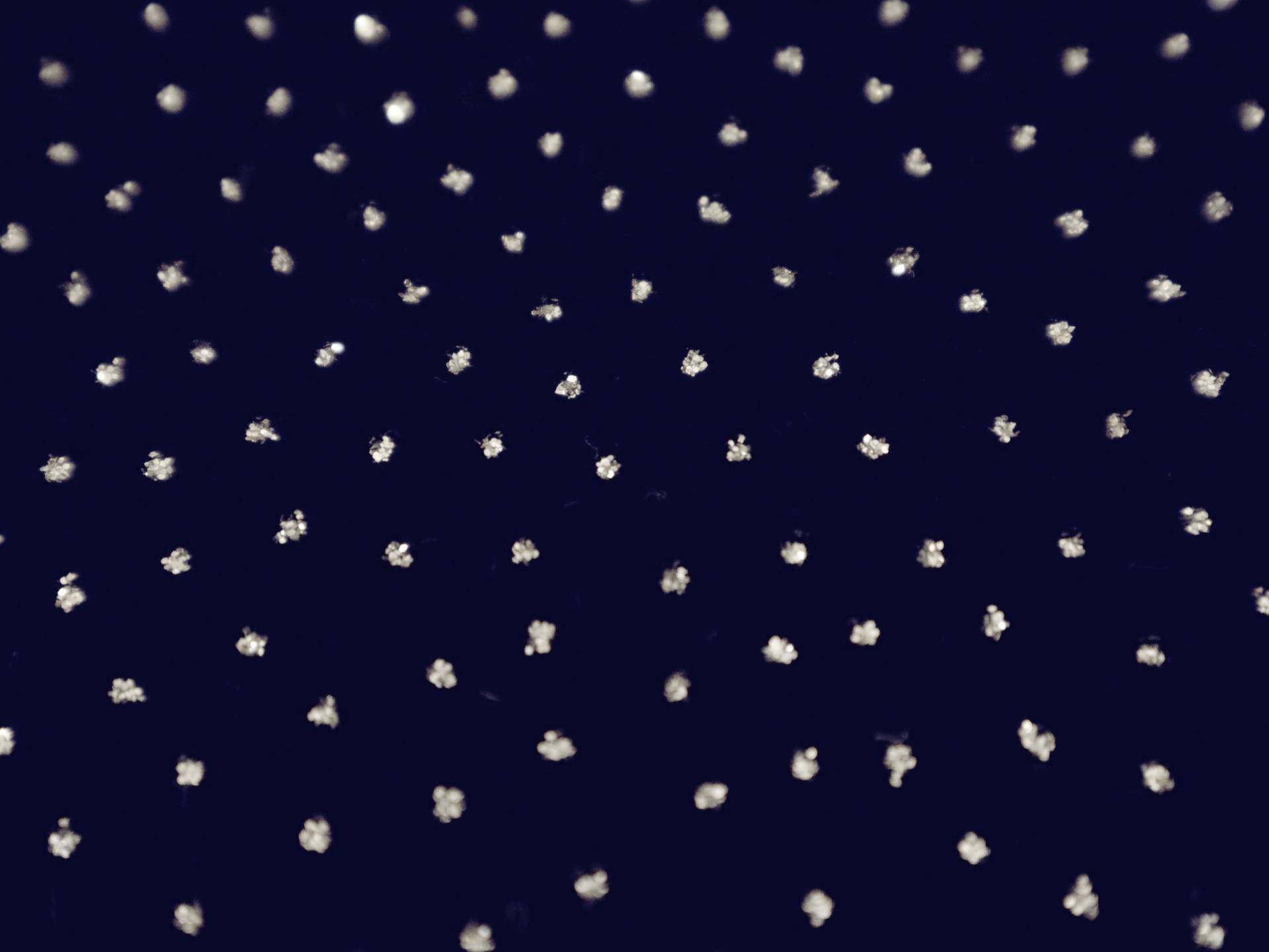 Novelty Glitter Dot Velvet in Navy