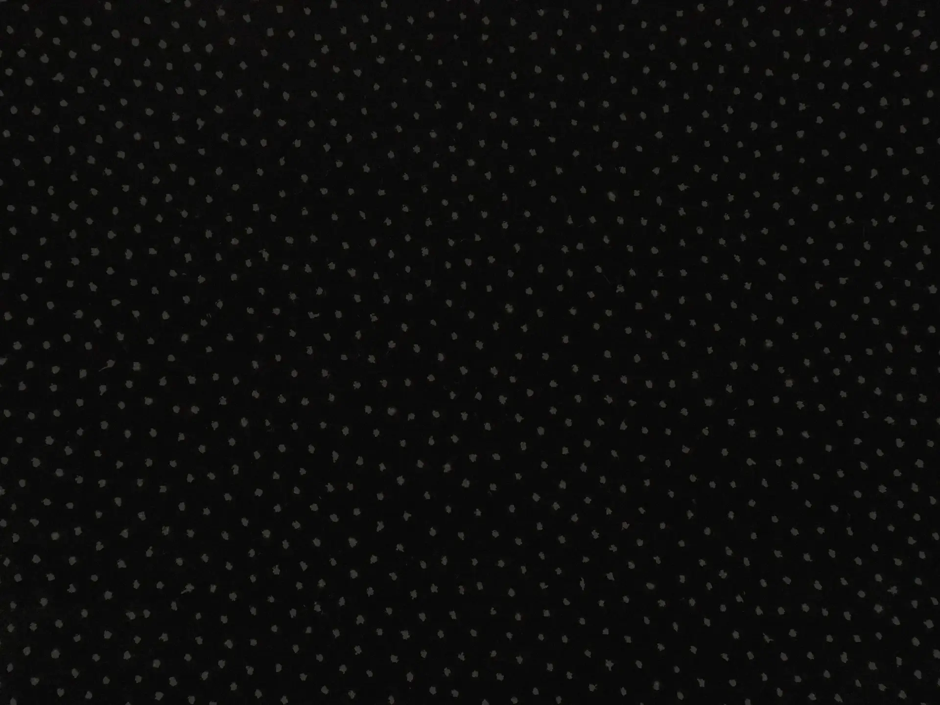 Novelty Glitter Dot Velvet in Black and Gunmetal