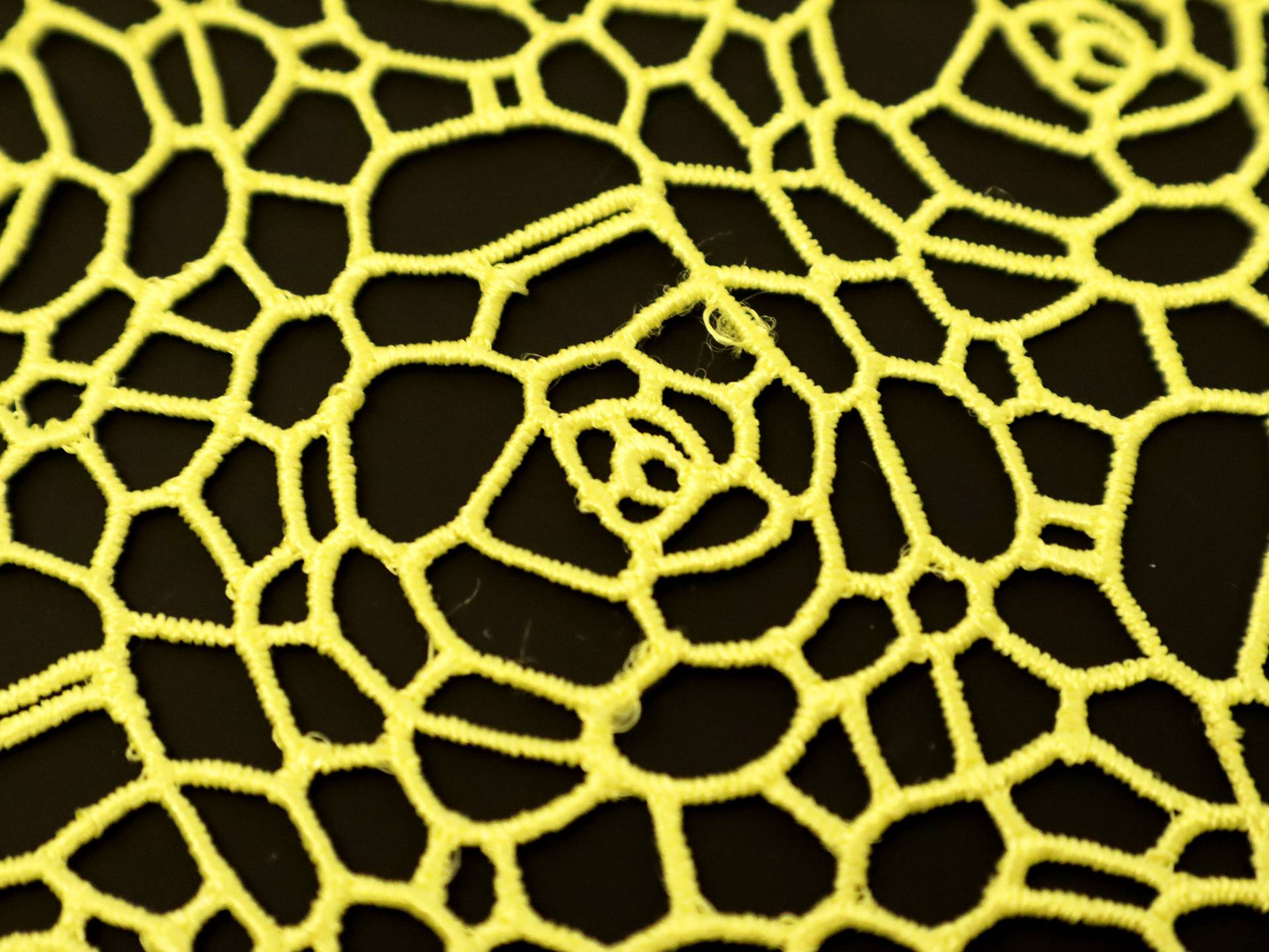 Floral Guipure Lace in Yellow