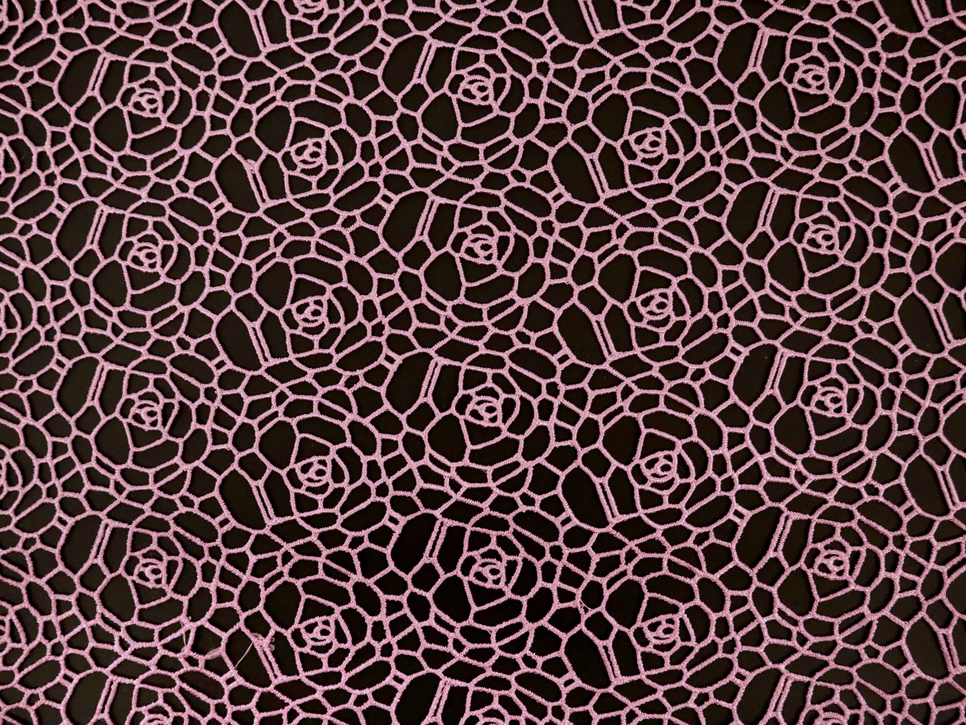 Floral Guipure Lace in Old Rose