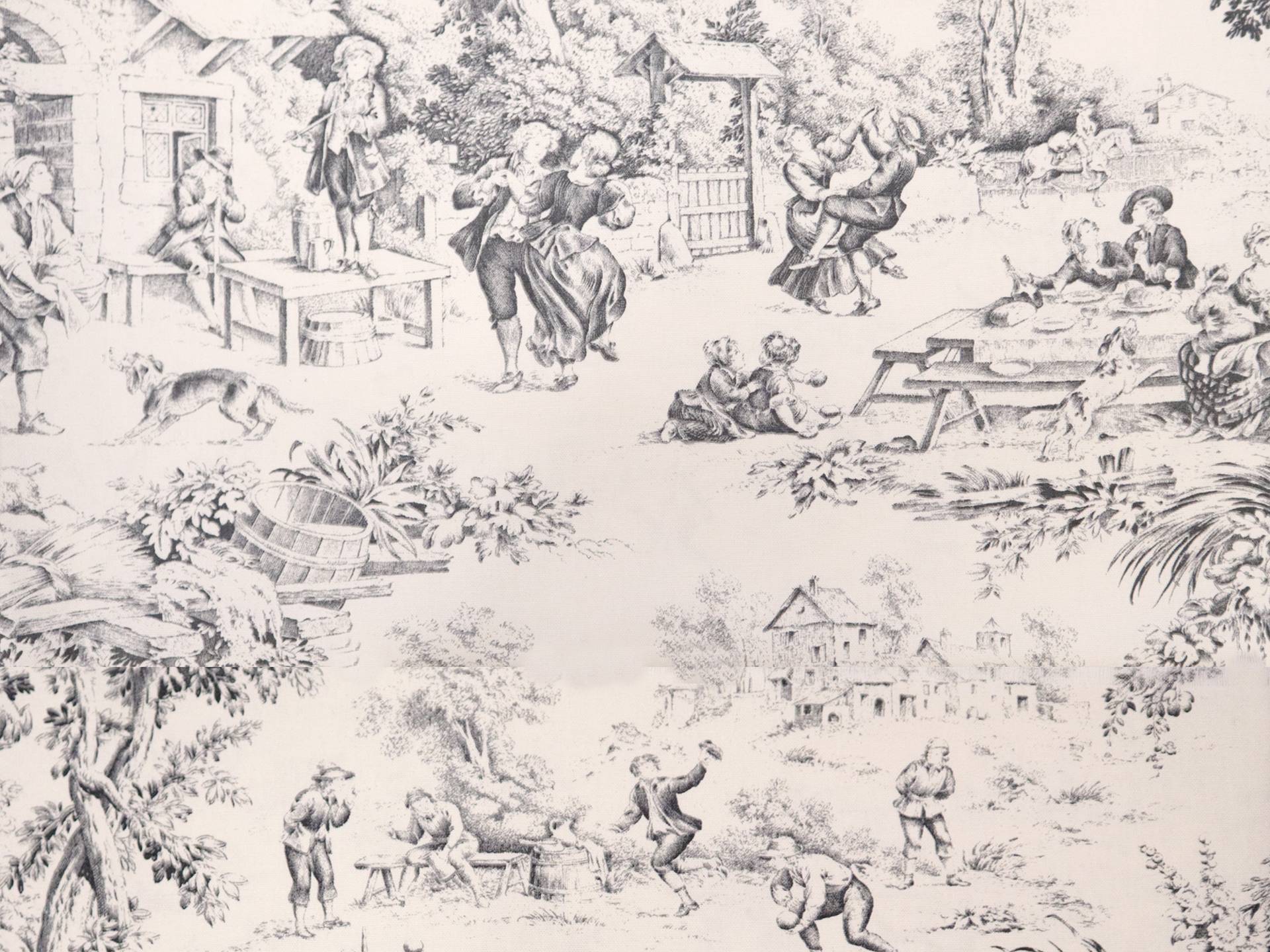 Cotton Canvas Toile de Jouy in Natural & Black