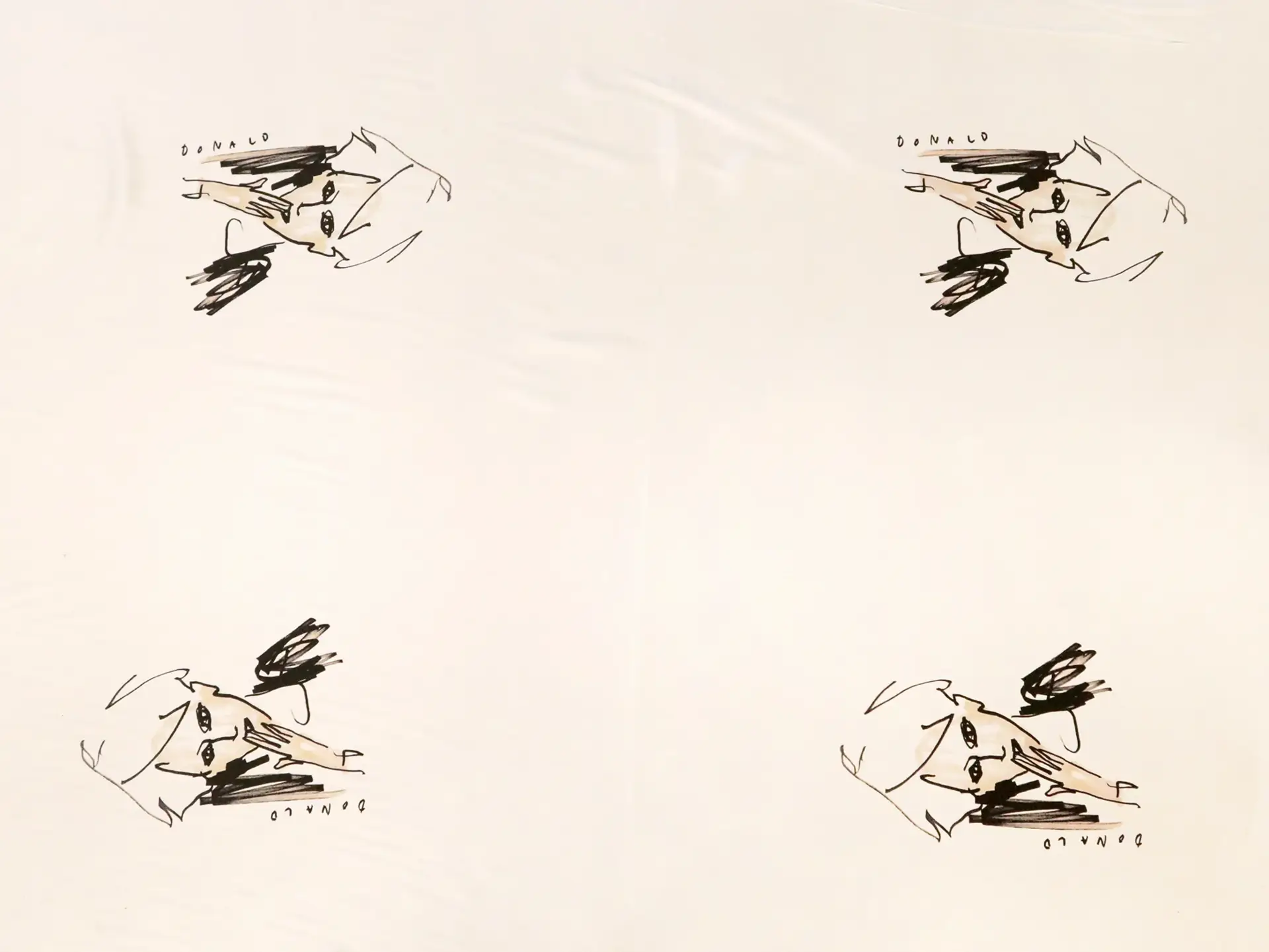 Printed Silk Charmeuse with Illustrated Faces