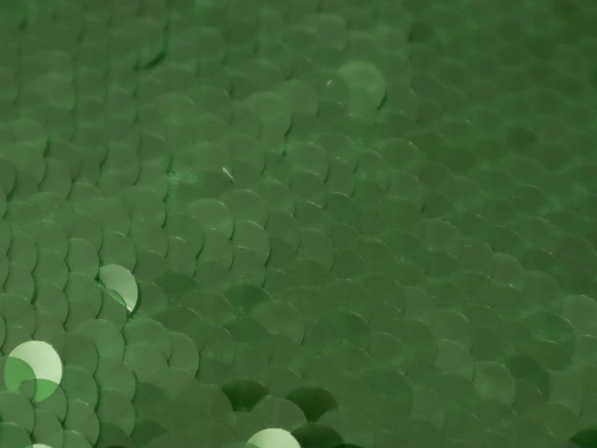 Transparent Mini-Paillettes on Stretch Tulle in Green