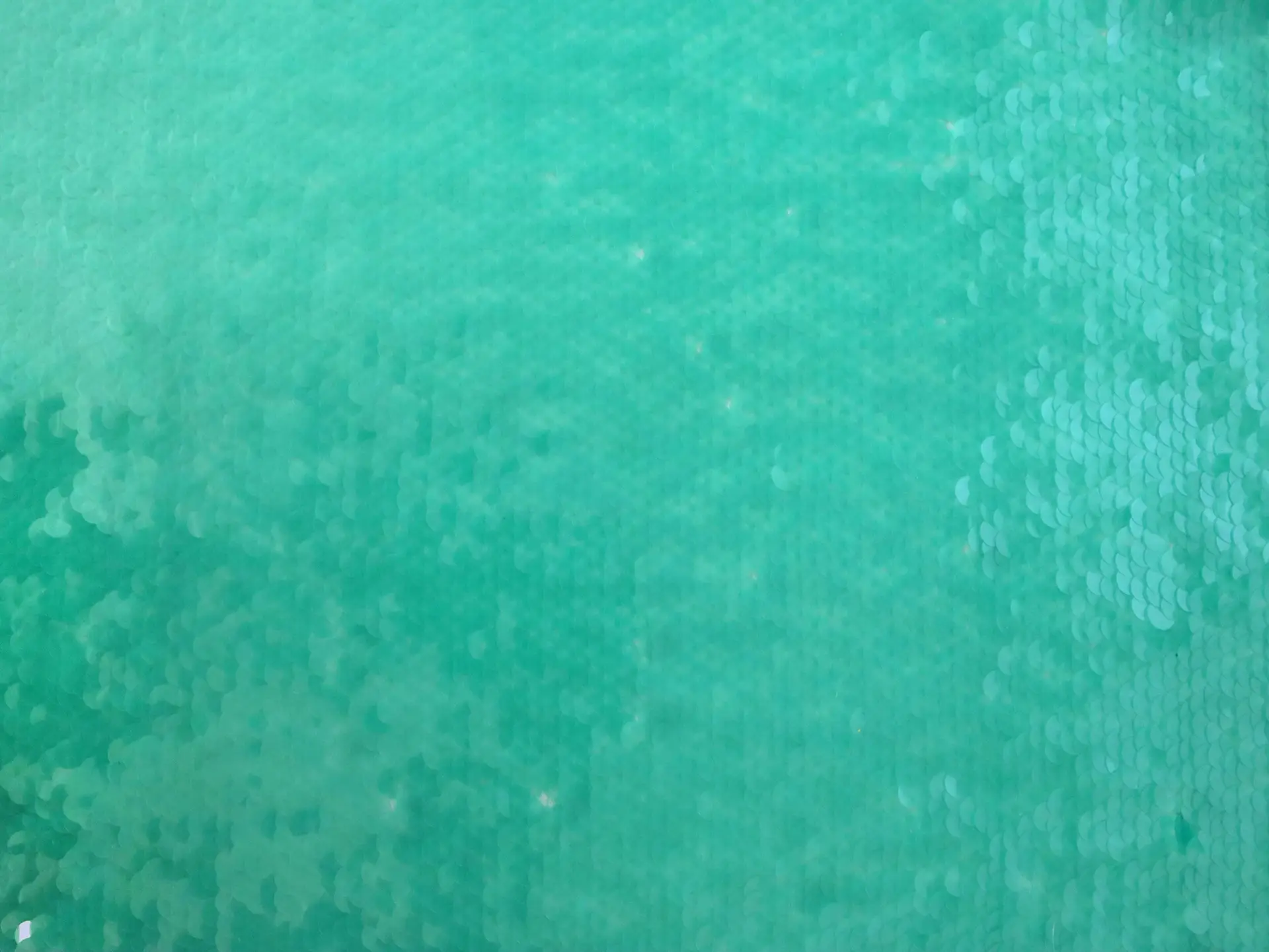 Transparent Mini-Paillettes on Stretch Tulle in Aqua