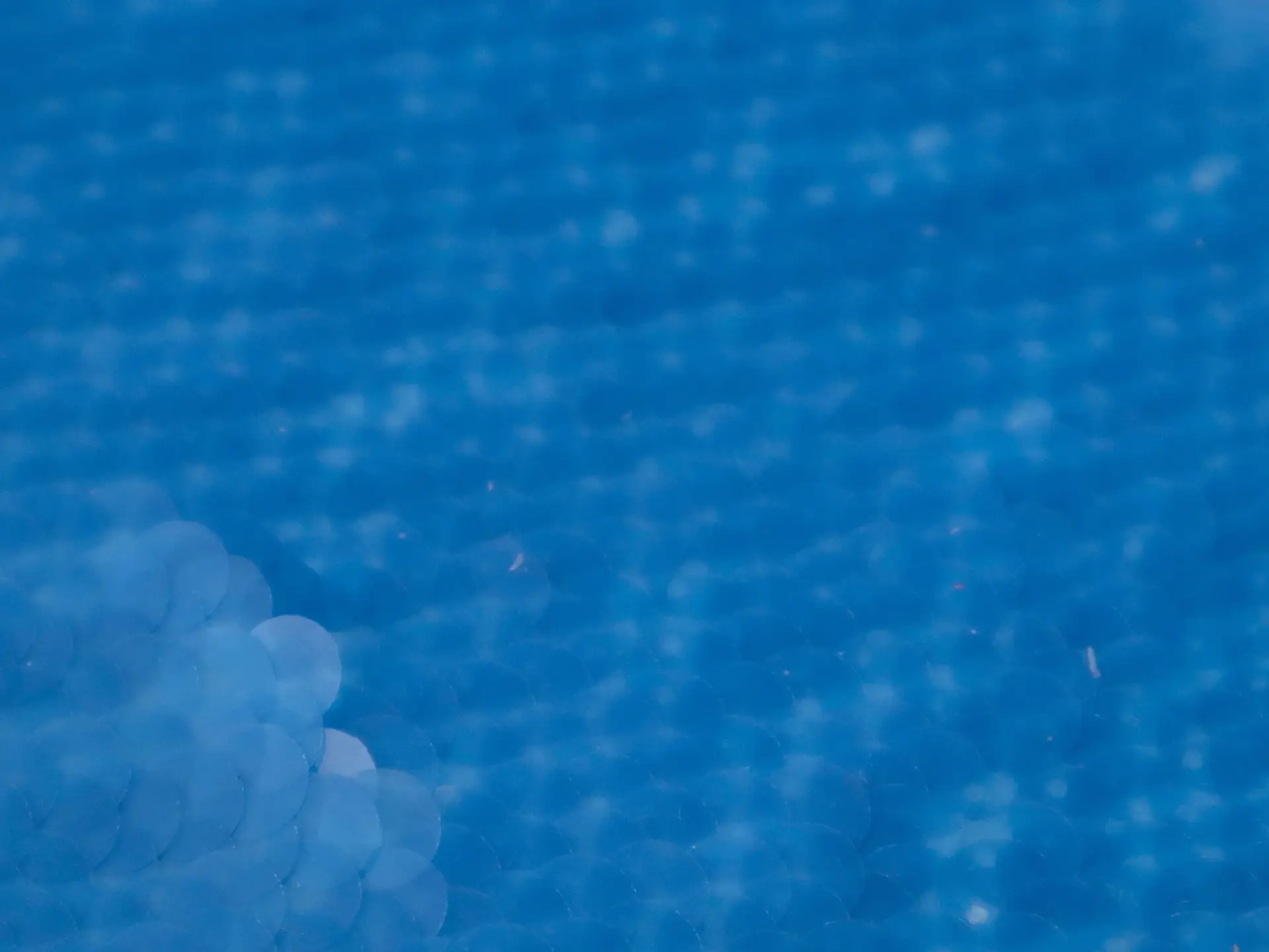 Transparent Mini-Paillettes on Stretch Tulle in Blue