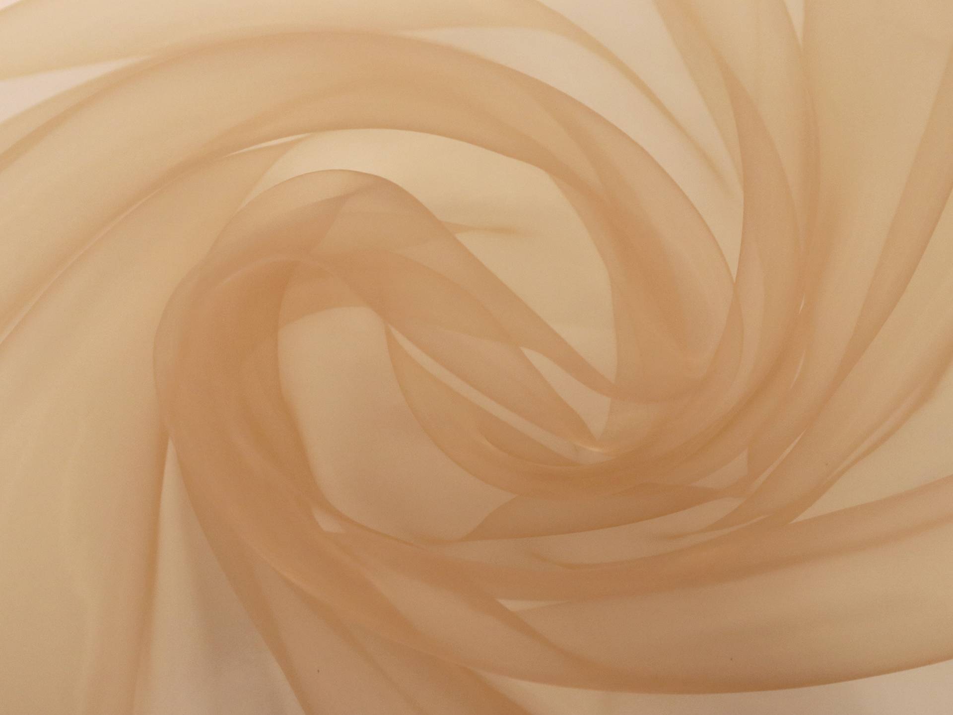 Polyester Organza Onion Skin in Camel