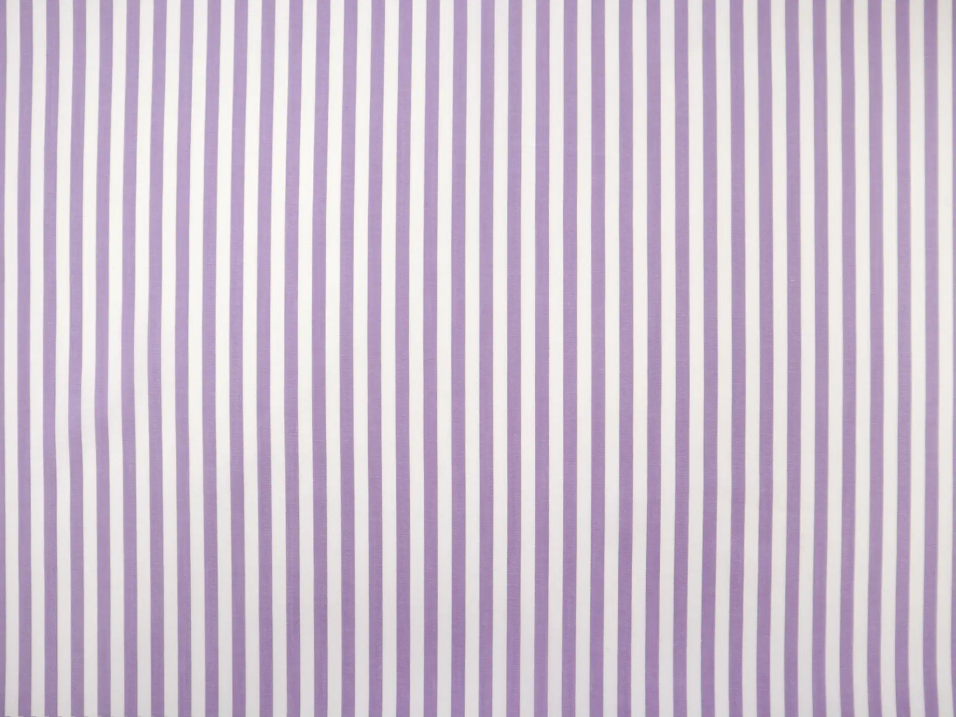 Pima Cotton Shirting Stripe in Violet