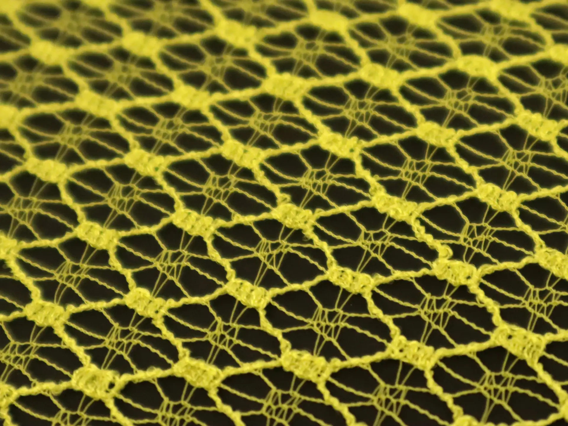 Chantilly Lace in Yellow