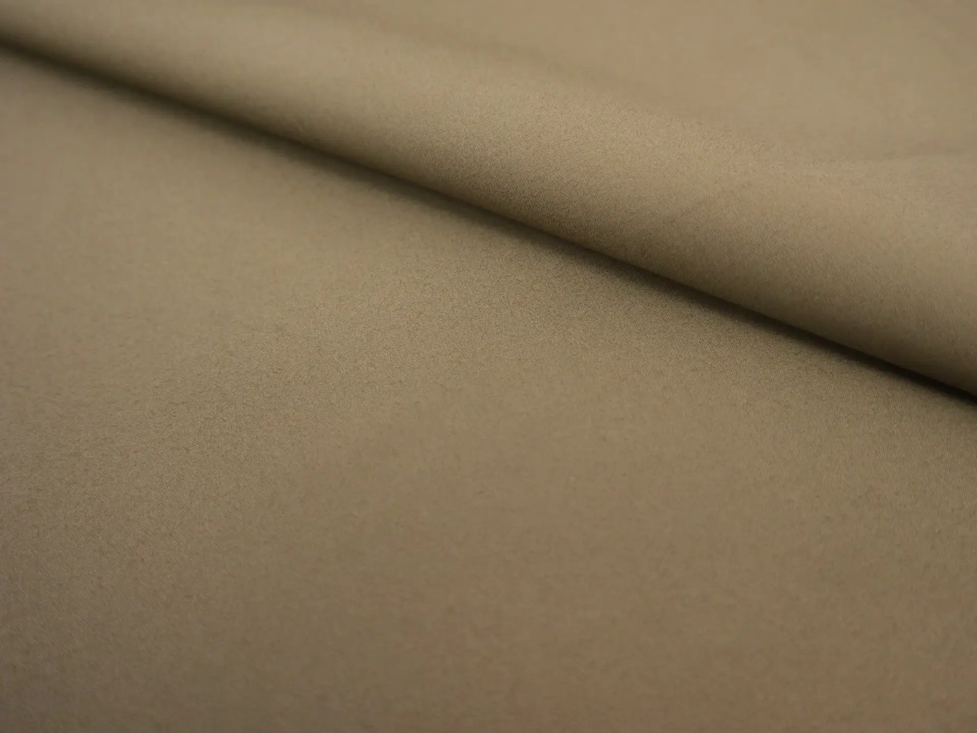 Japanese Cotton Poplin in Fawn
