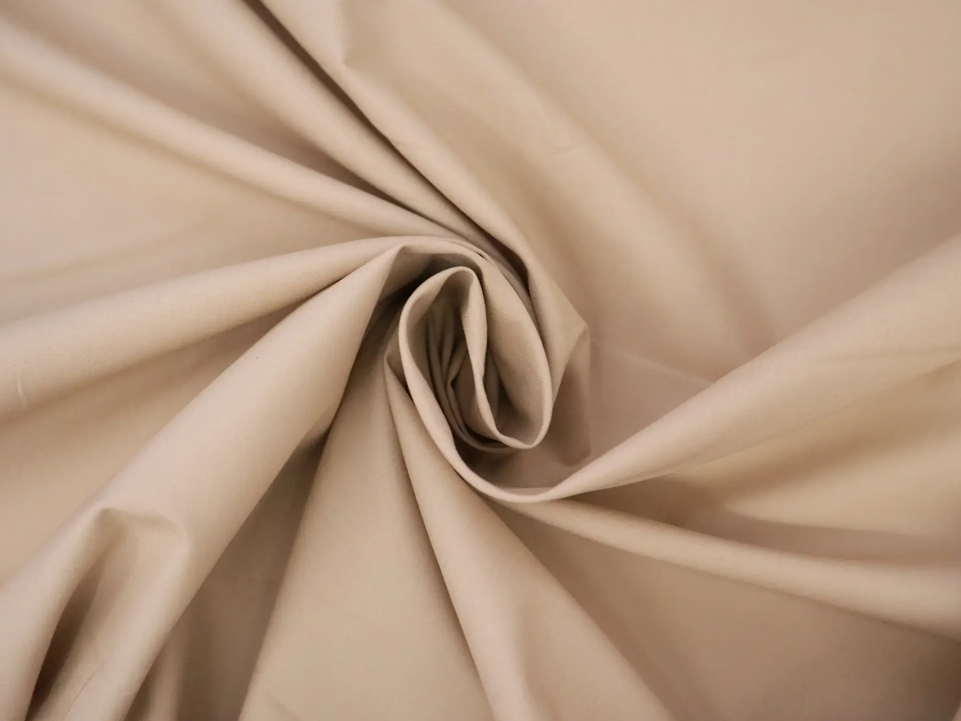 Cotton Poplin in Eggshell