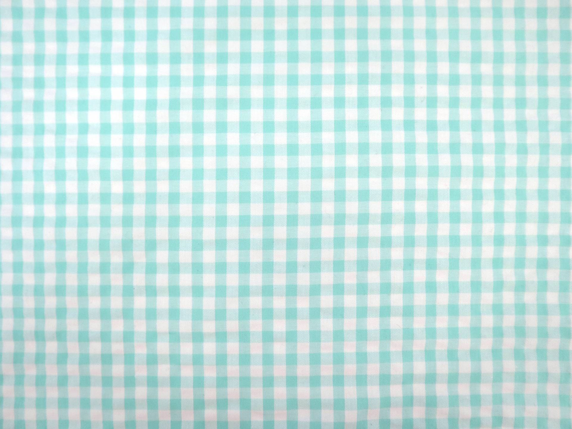 1/4" Cotton Gingham Seersucker in Mint