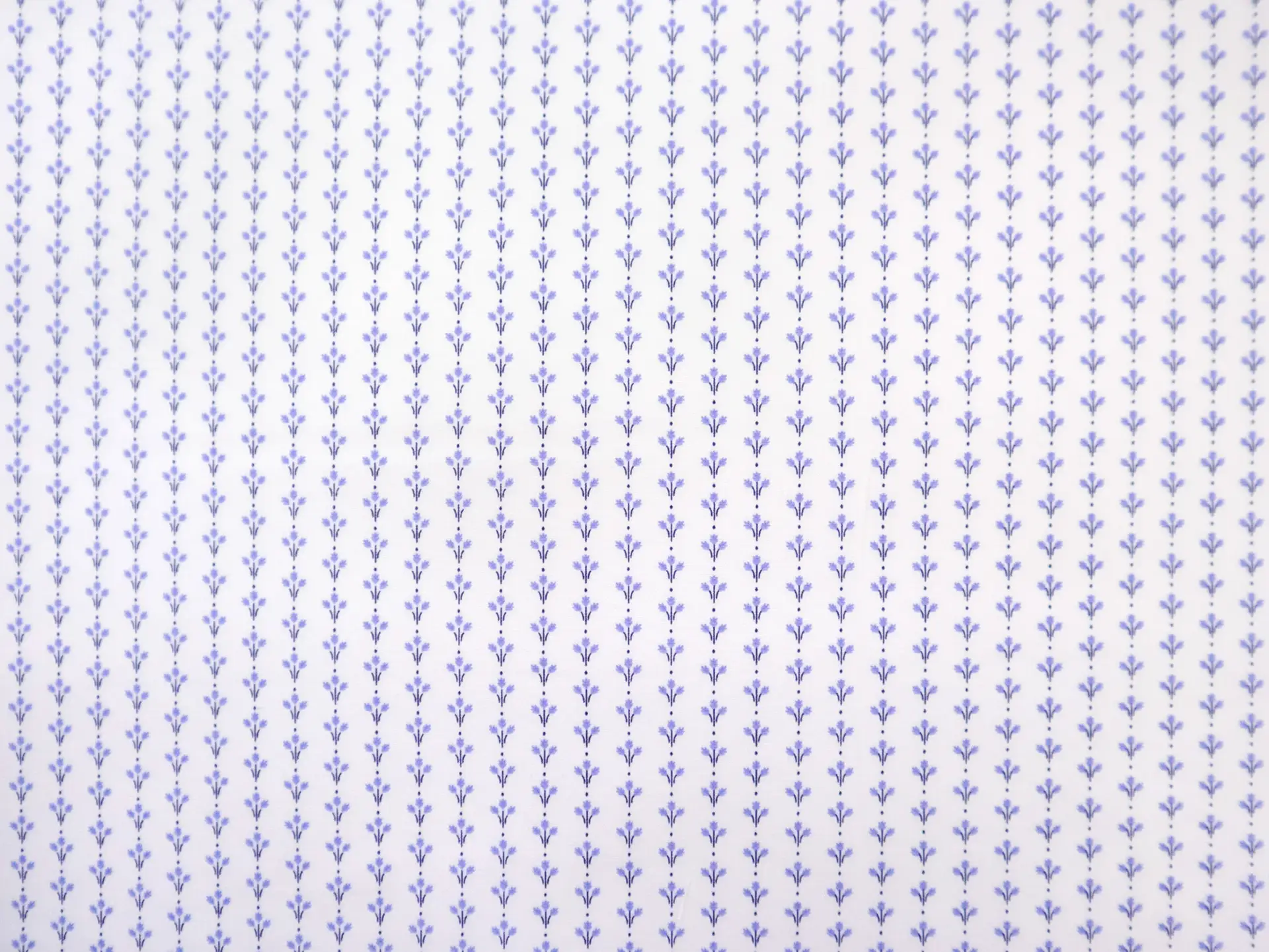 Cotton Broadcloth with Petite Florals