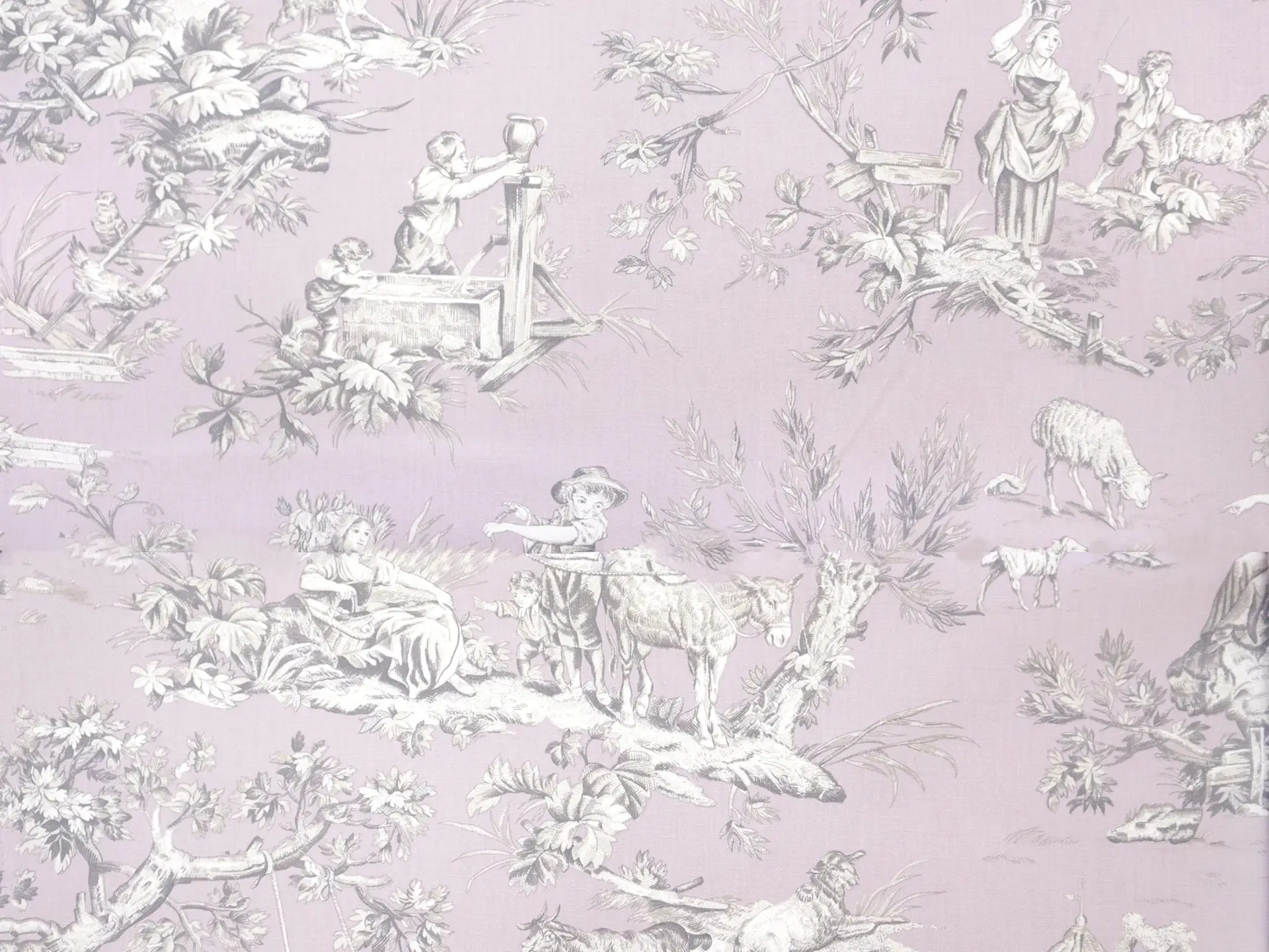 Cotton Canvas Toile de Jouy in 