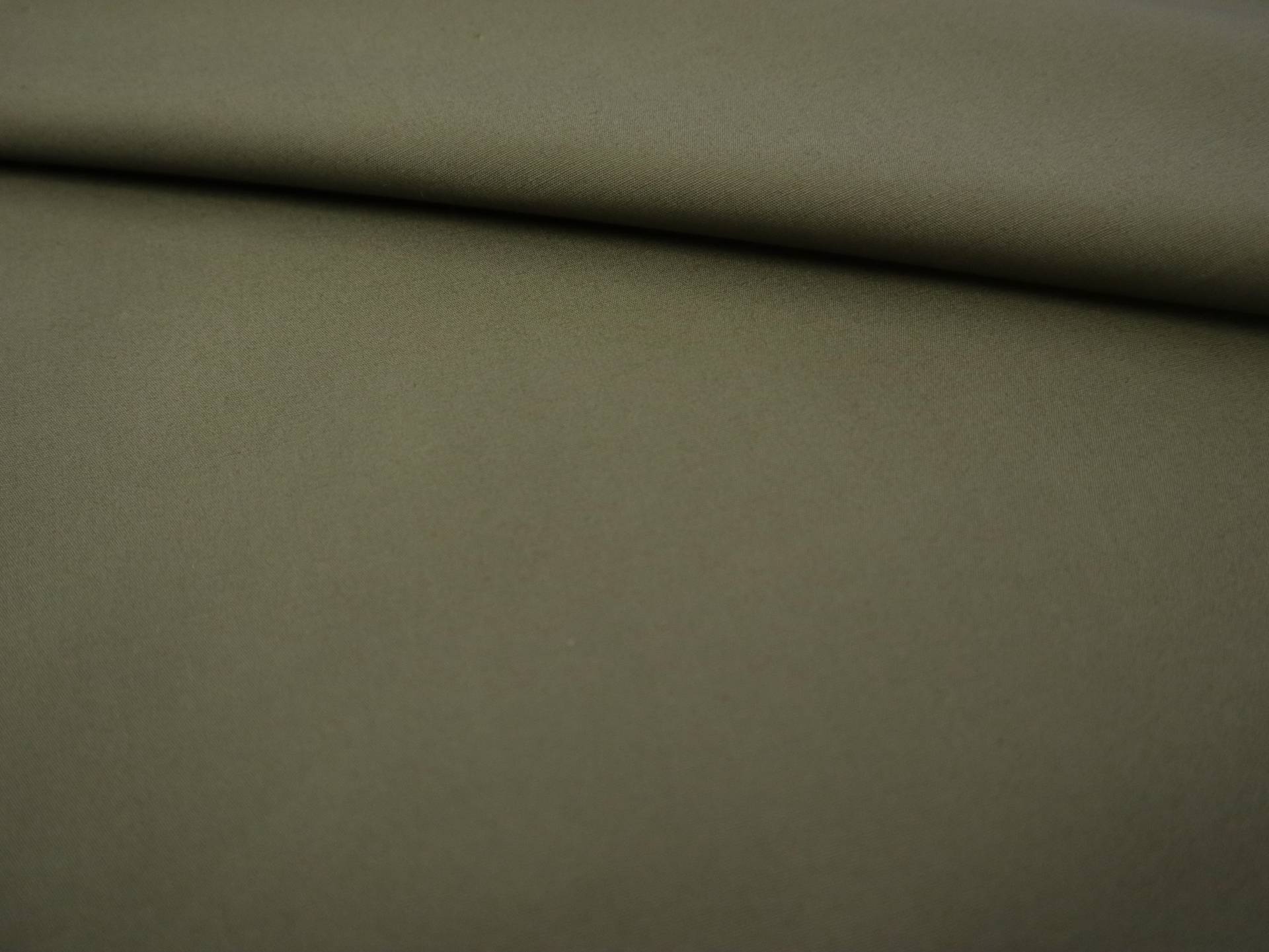 Pima Cotton Poplin in Olive