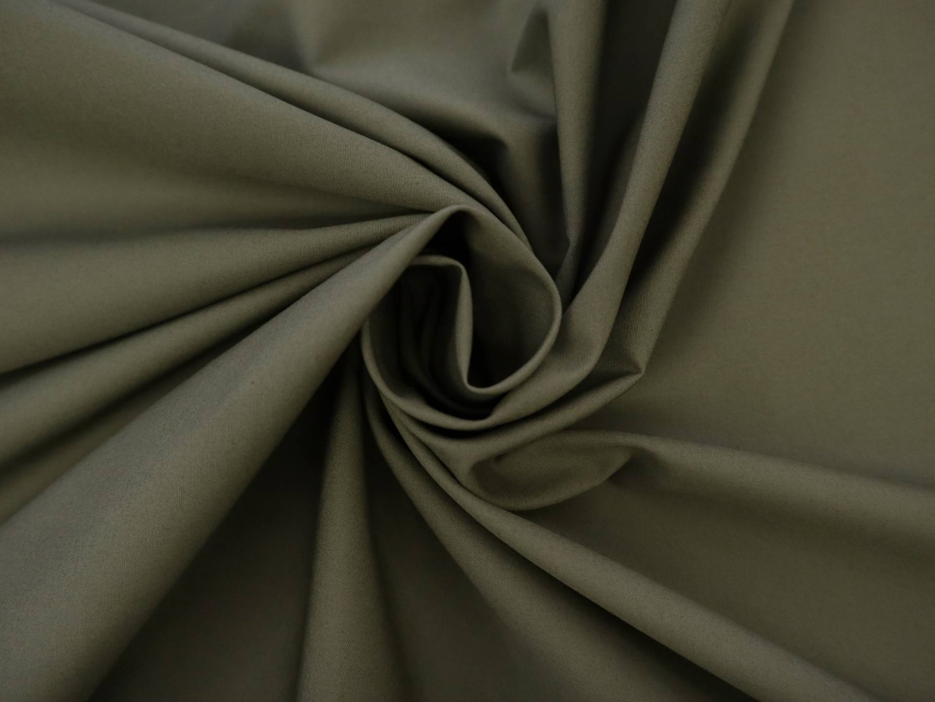 Pima Cotton Poplin in Olive