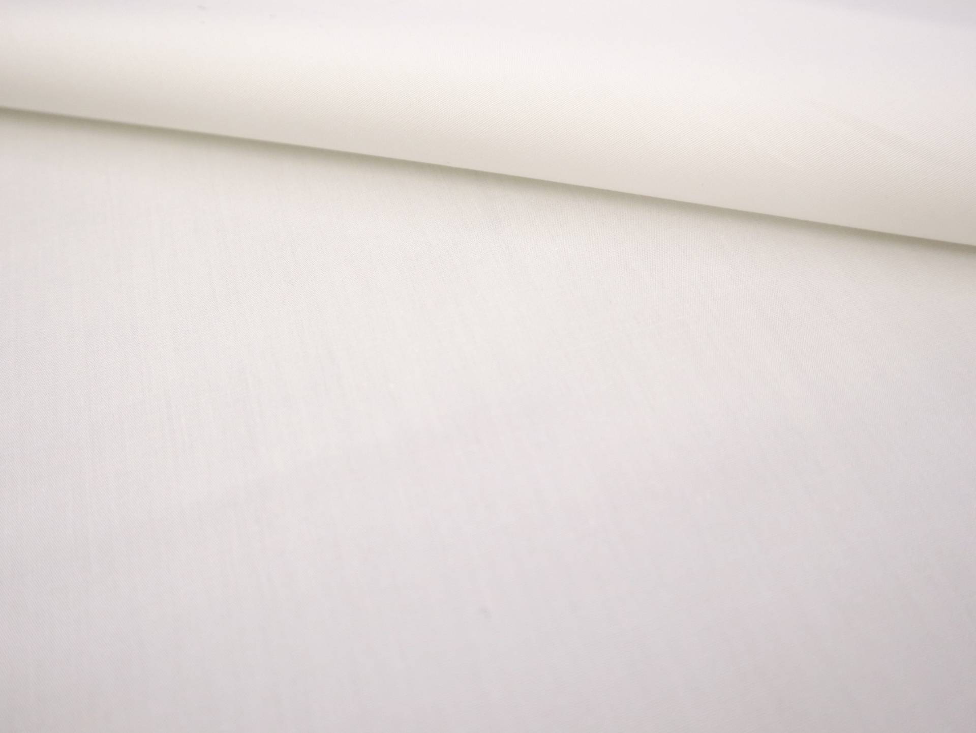 Pima Cotton Poplin in Ivory